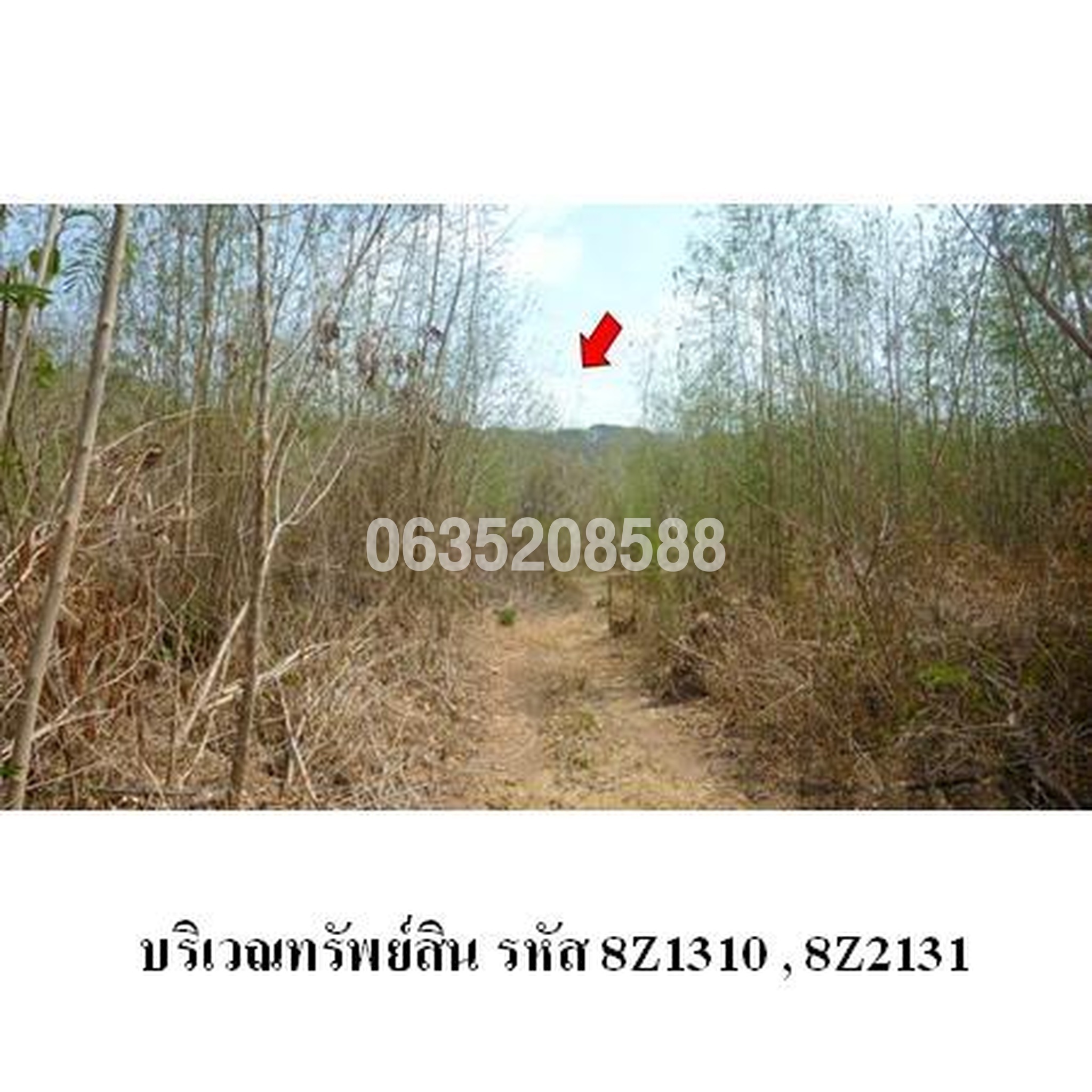 ขายที่ดิน เพชรบูรณ์การ์เด้นฮิลล์