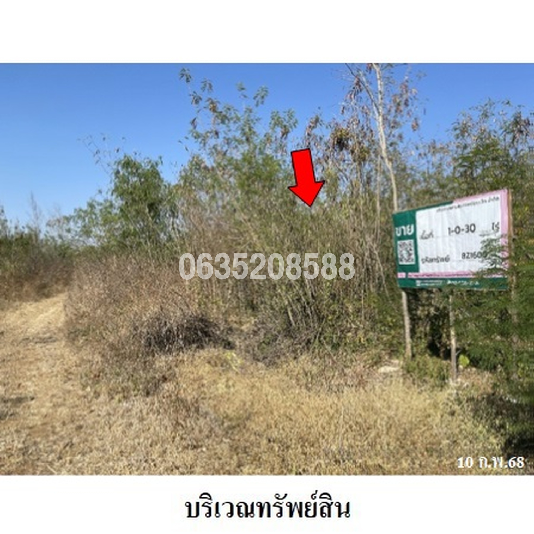 ขายที่ดิน เพชรบูรณ์การ์เด้นฮิลล์