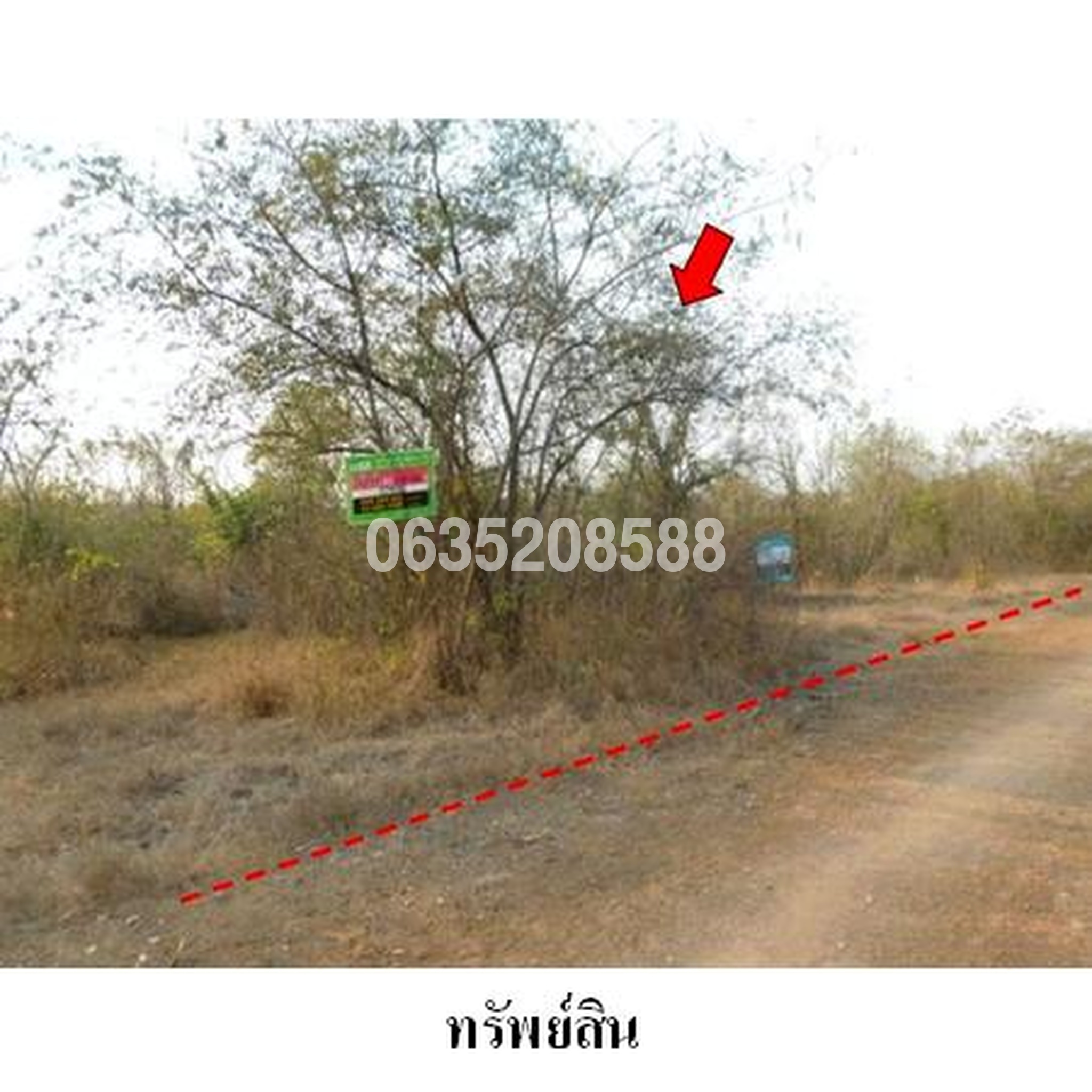 ขายที่ดิน เพชรบูรณ์การ์เด้นฮิลล์