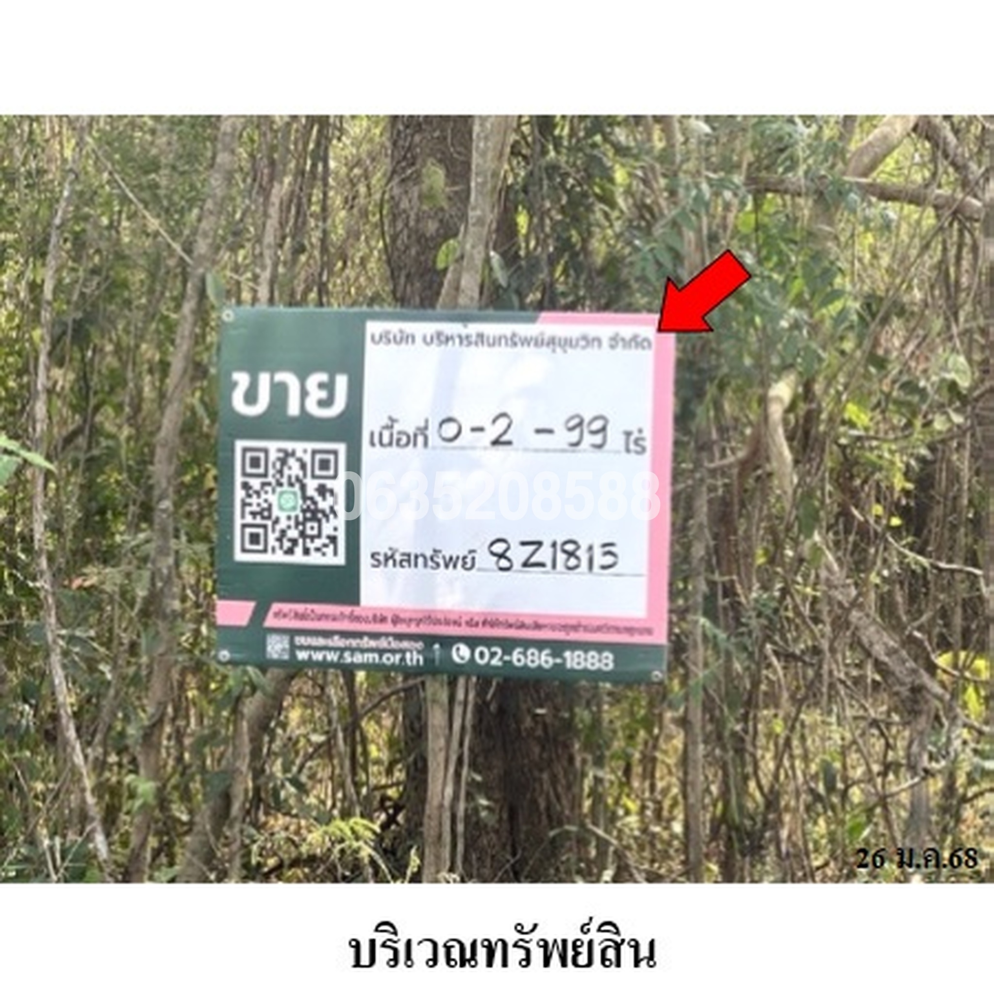 ขายที่ดิน เพชรบูรณ์การ์เด้นฮิลล์