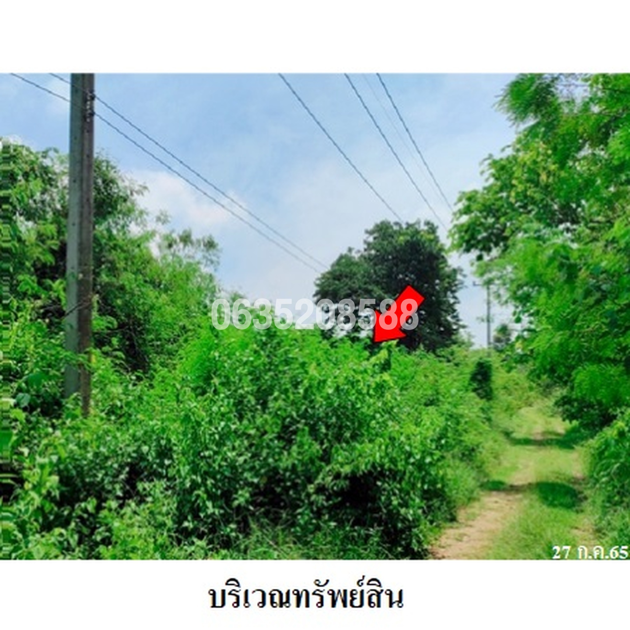 ขายที่ดิน เพชรบูรณ์การ์เด้นฮิลล์