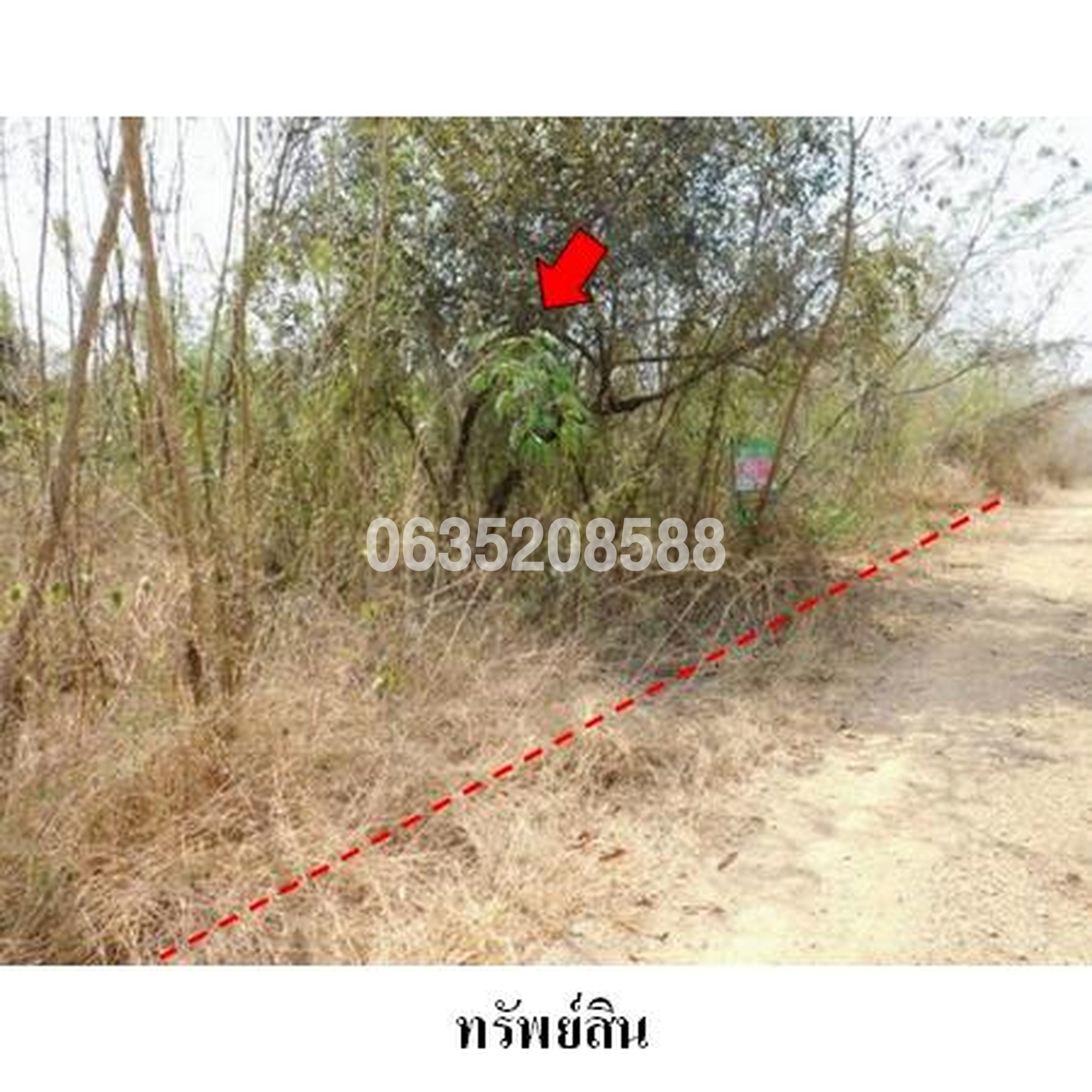 ขายที่ดิน เพชรบูรณ์การ์เด้นฮิลล์