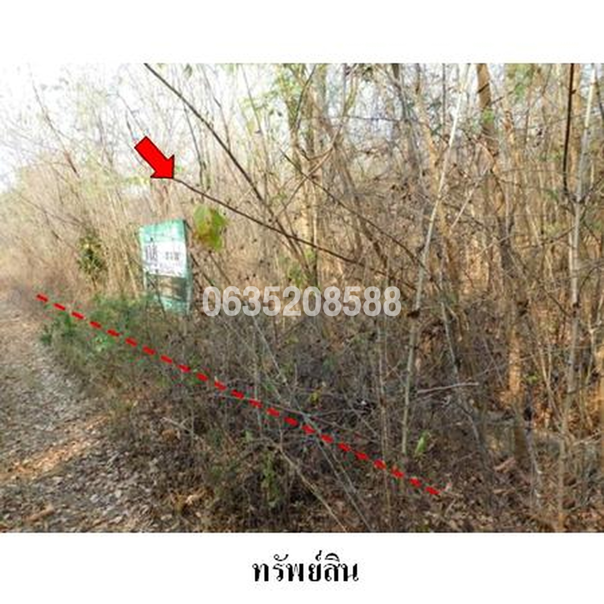 ขายที่ดิน เพชรบูรณ์การ์เด้นฮิลล์