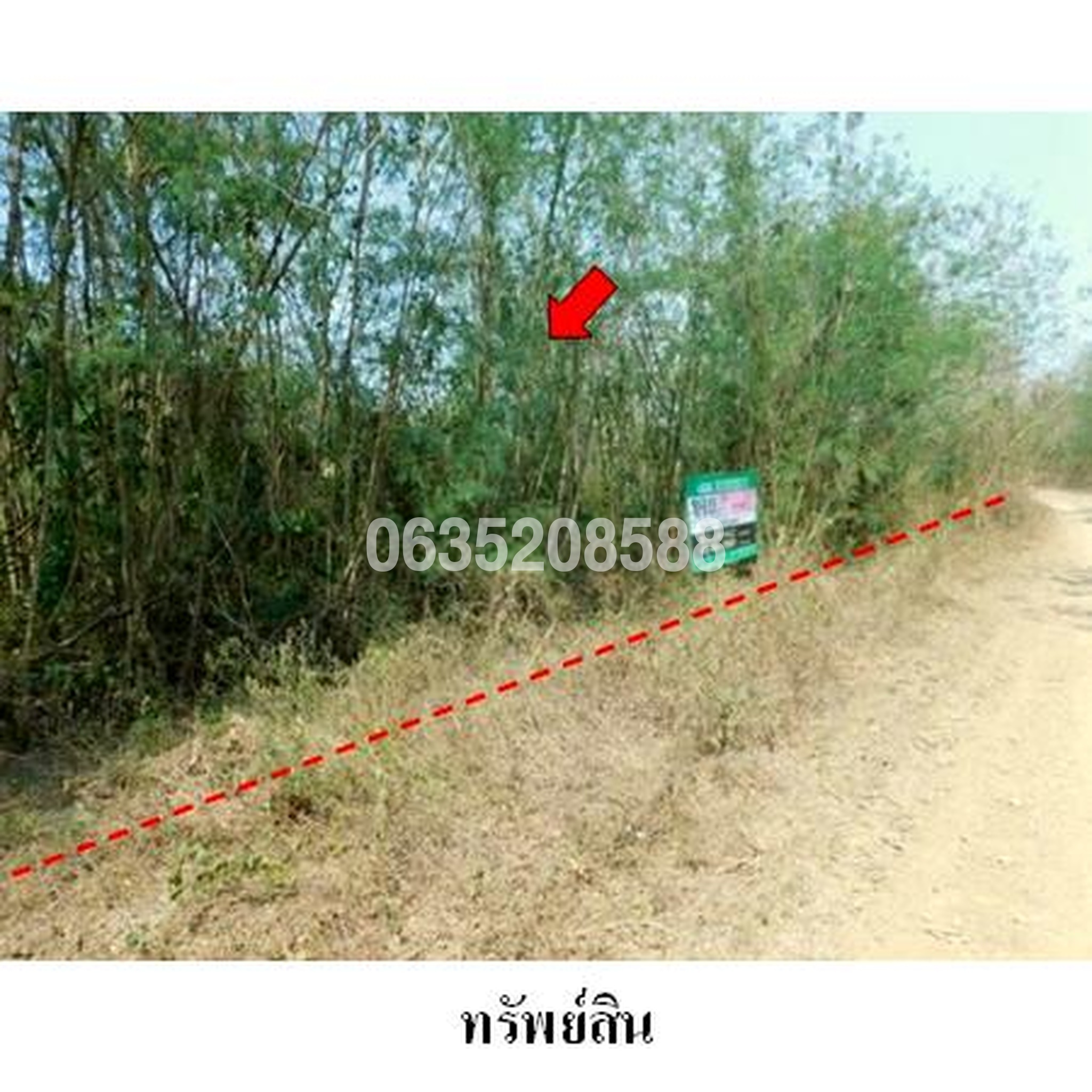 ขายที่ดิน เพชรบูรณ์การ์เด้นฮิลล์