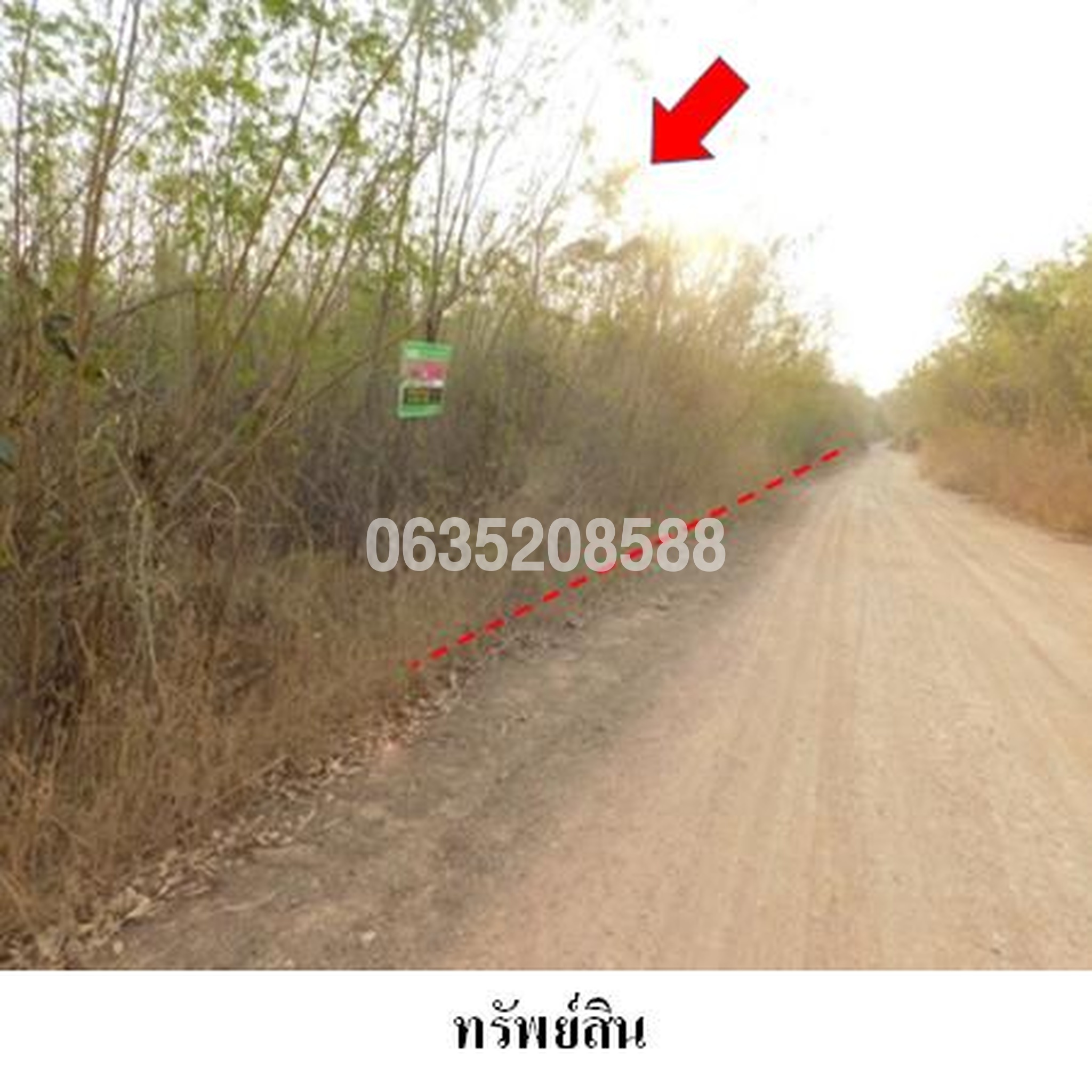 ขายที่ดิน เพชรบูรณ์การ์เด้นฮิลล์