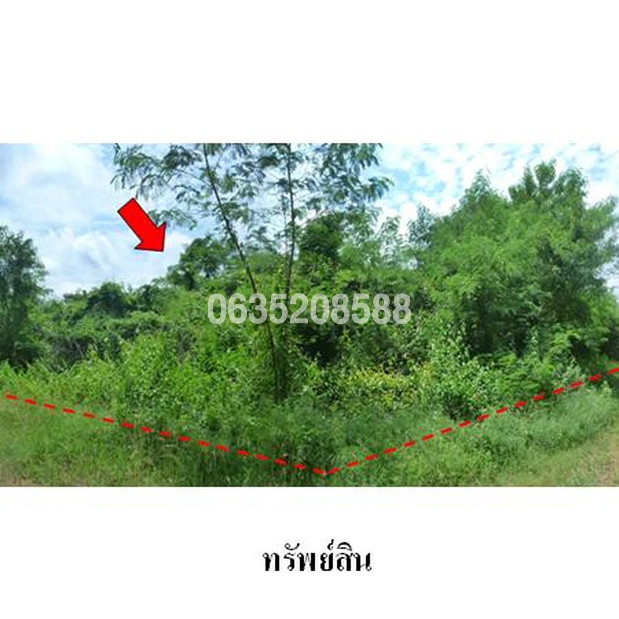 ขายที่ดิน เพชรบูรณ์การ์เด้นฮิลล์