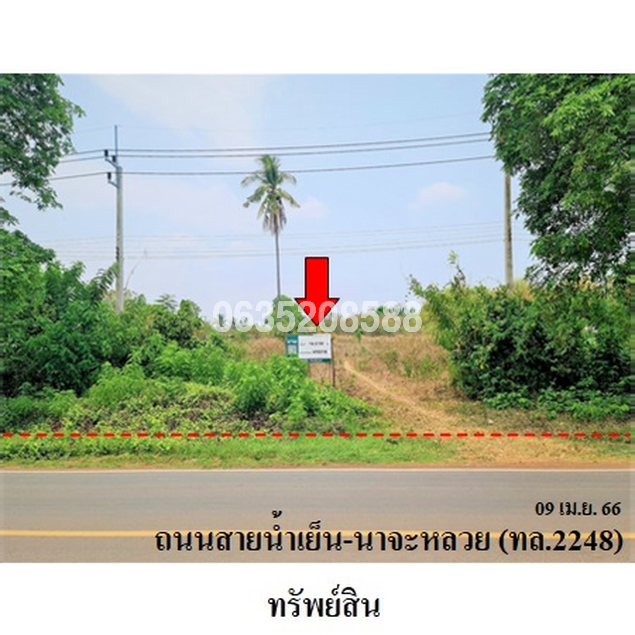 ขายที่ดิน ถนนสายน้ำยืน-นาจะหลวย (ทล.2248)