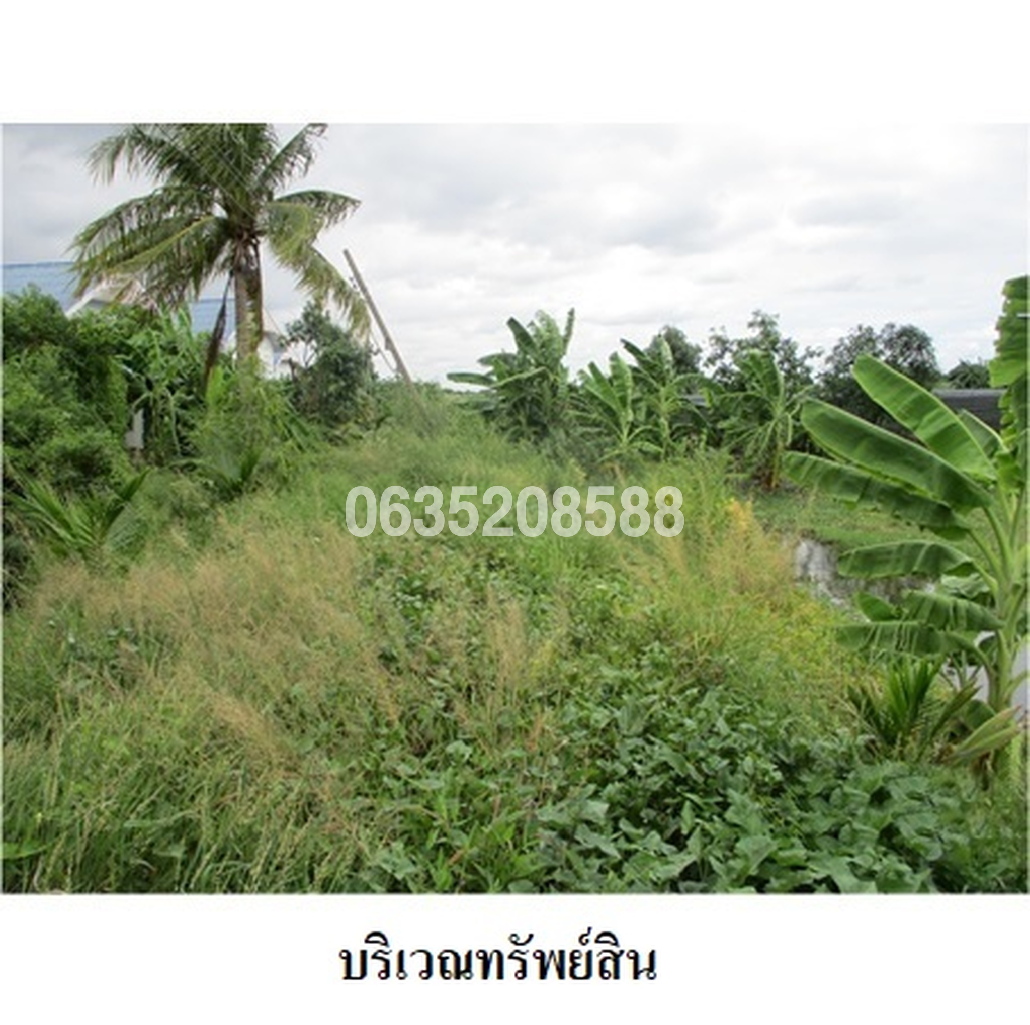 ขายที่ดิน ซอยเพชรเกษม 110 แยก 14-1-1-2 ถนนเพชรเกษม (ทล.4)