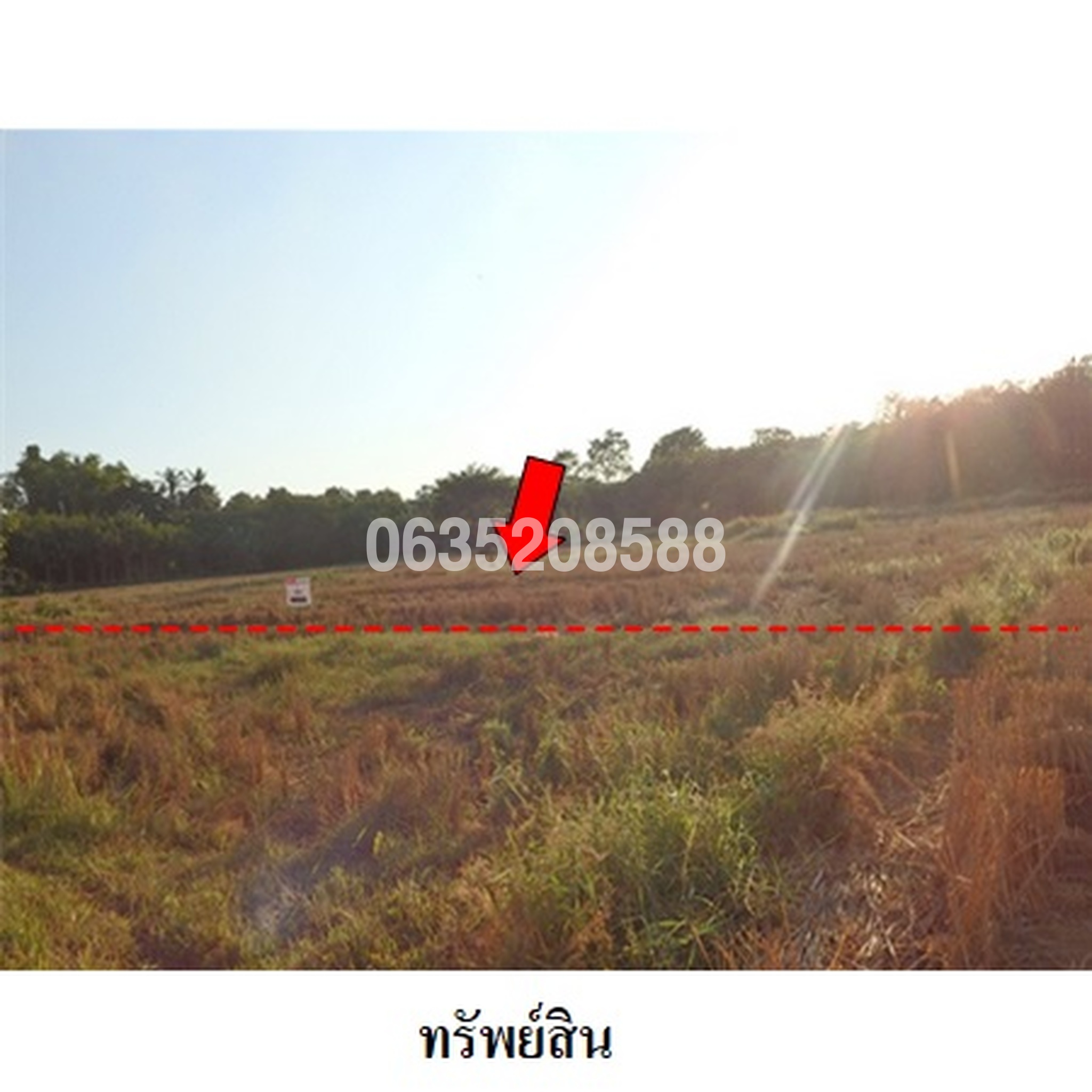 ขายที่ดิน ซอยชัยจันทร์ ถนนพนังชลประทาน (นค.3040)