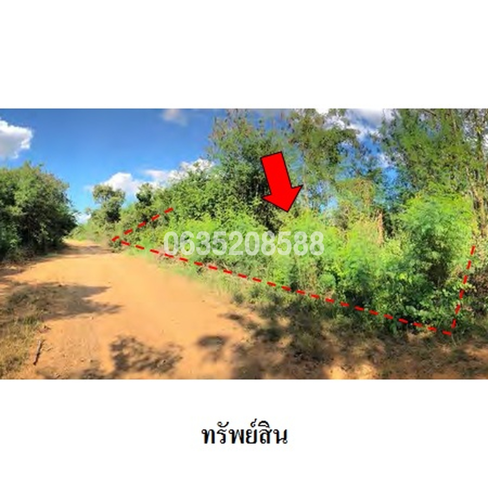 ขายที่ดิน เพชรบูรณ์การ์เด้นฮิลล์