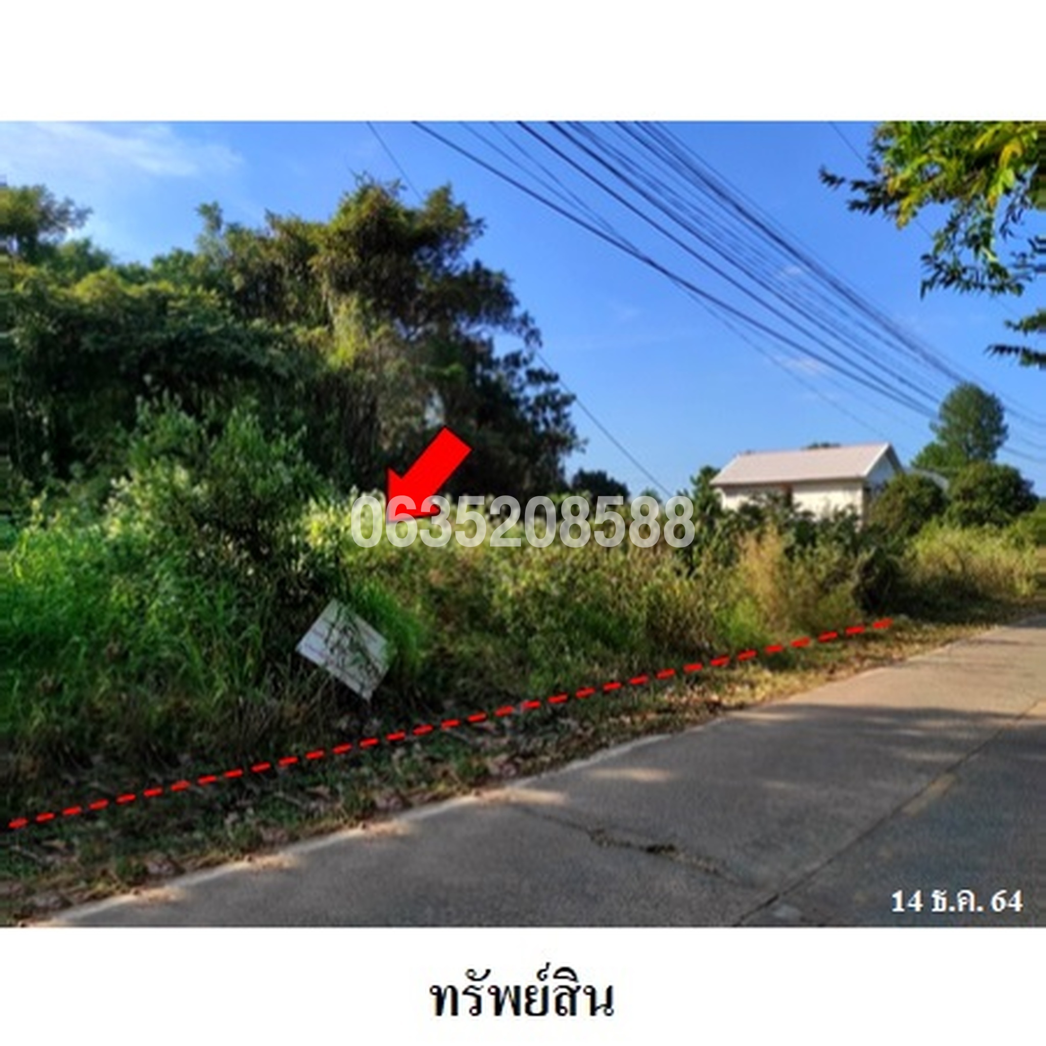 ขายที่ดิน ถนนสกลมาร์ค (ทล.24)
