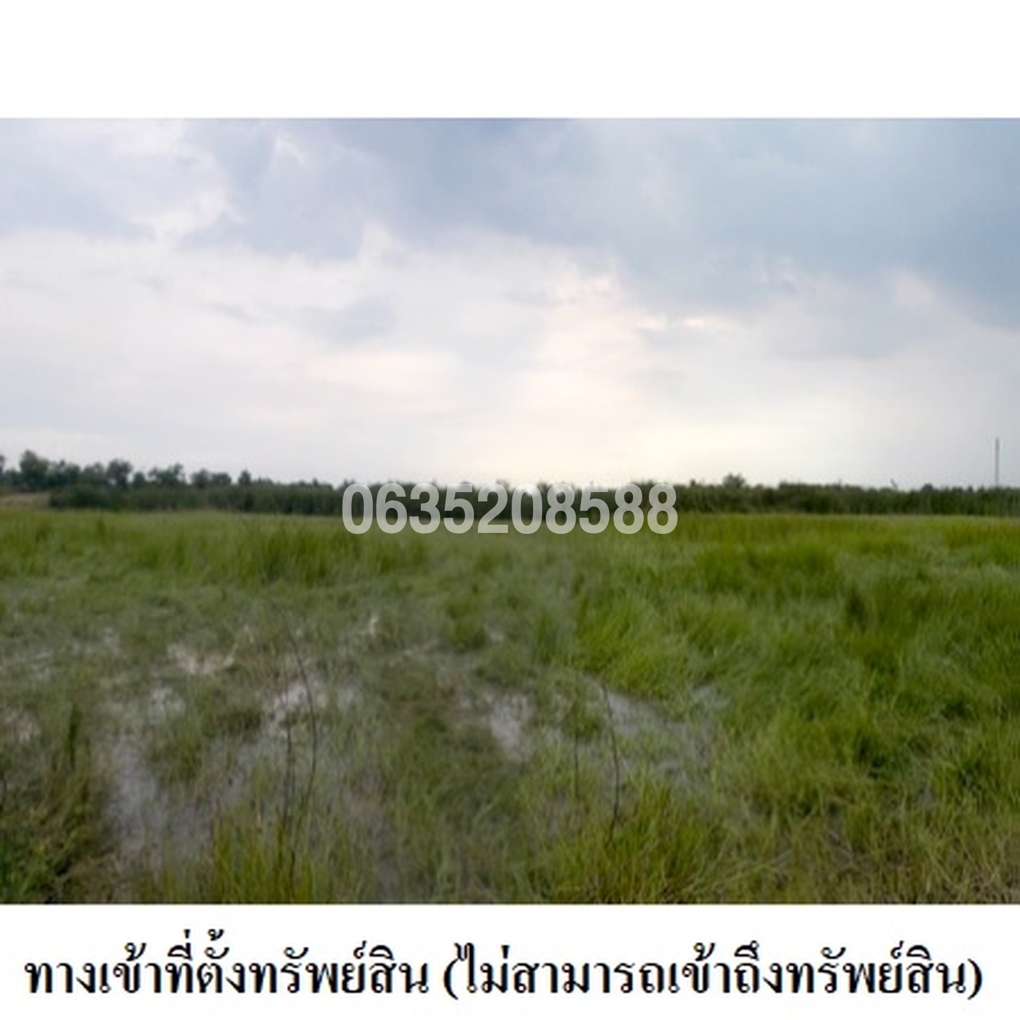 ขายที่ดิน สุรีย์ปาร์ค