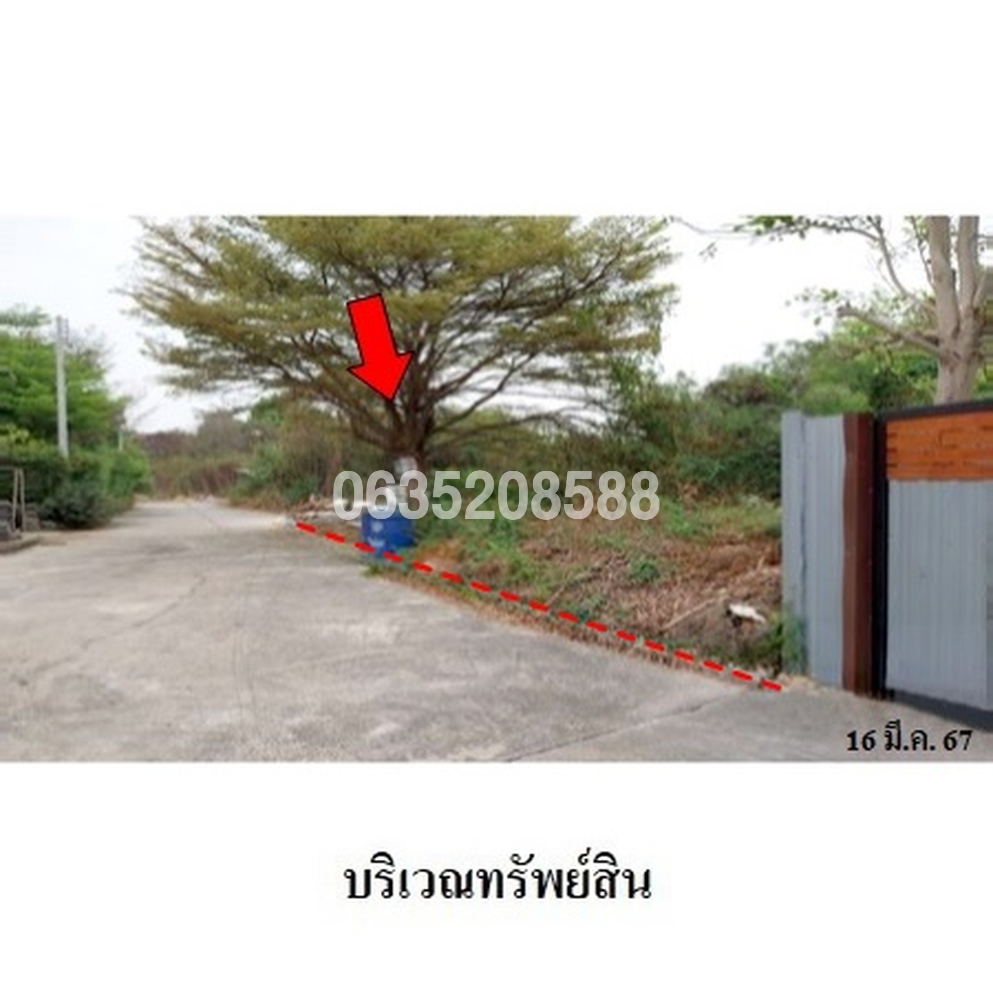 ขายที่ดิน ถนนแสงชูโต (ทล.323)