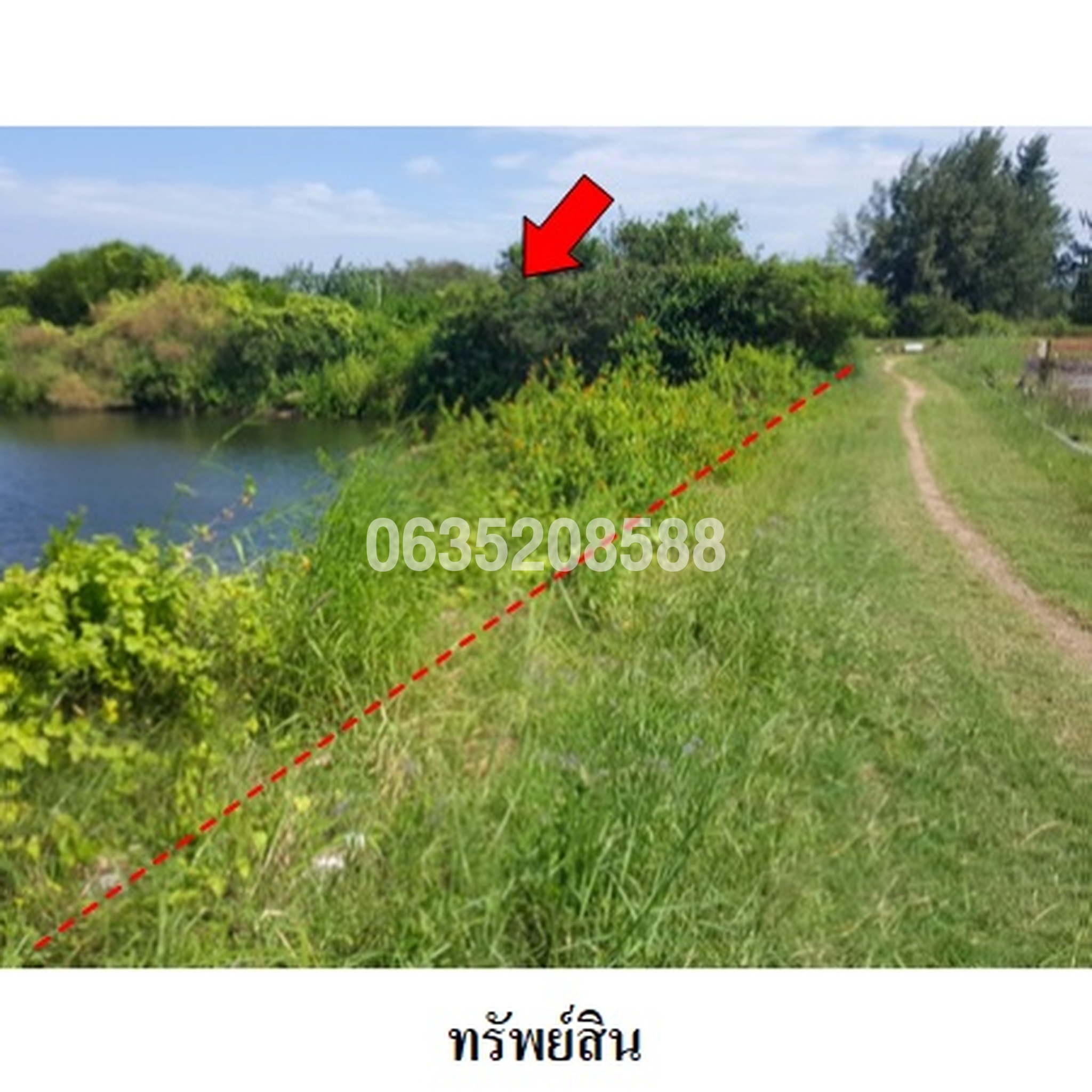 ขายที่ดิน ถนนเฉลิมบูรพาชลทิต