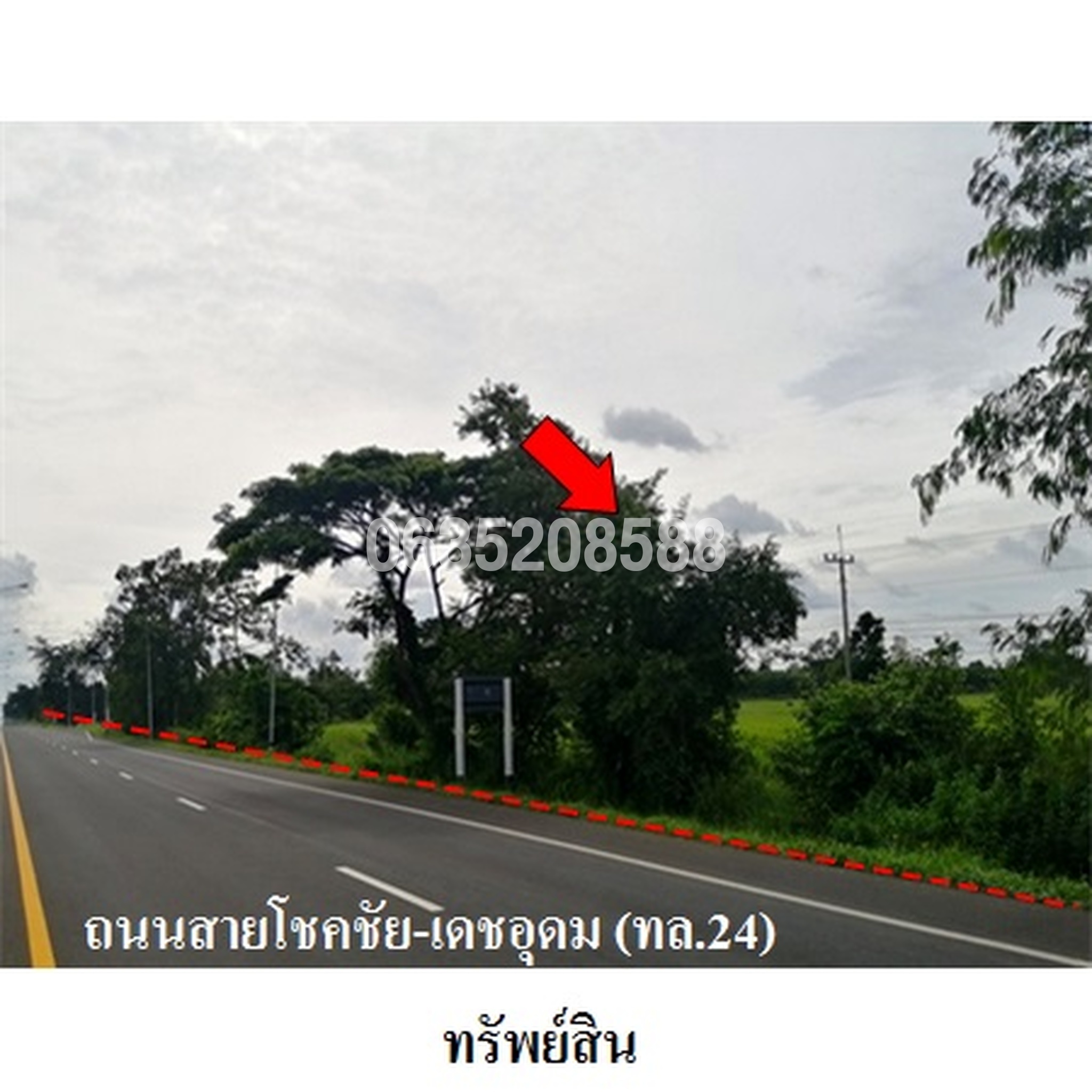 ขายที่ดิน ถนนสายโชคชัย-เดชอุดม (ทล. 24)