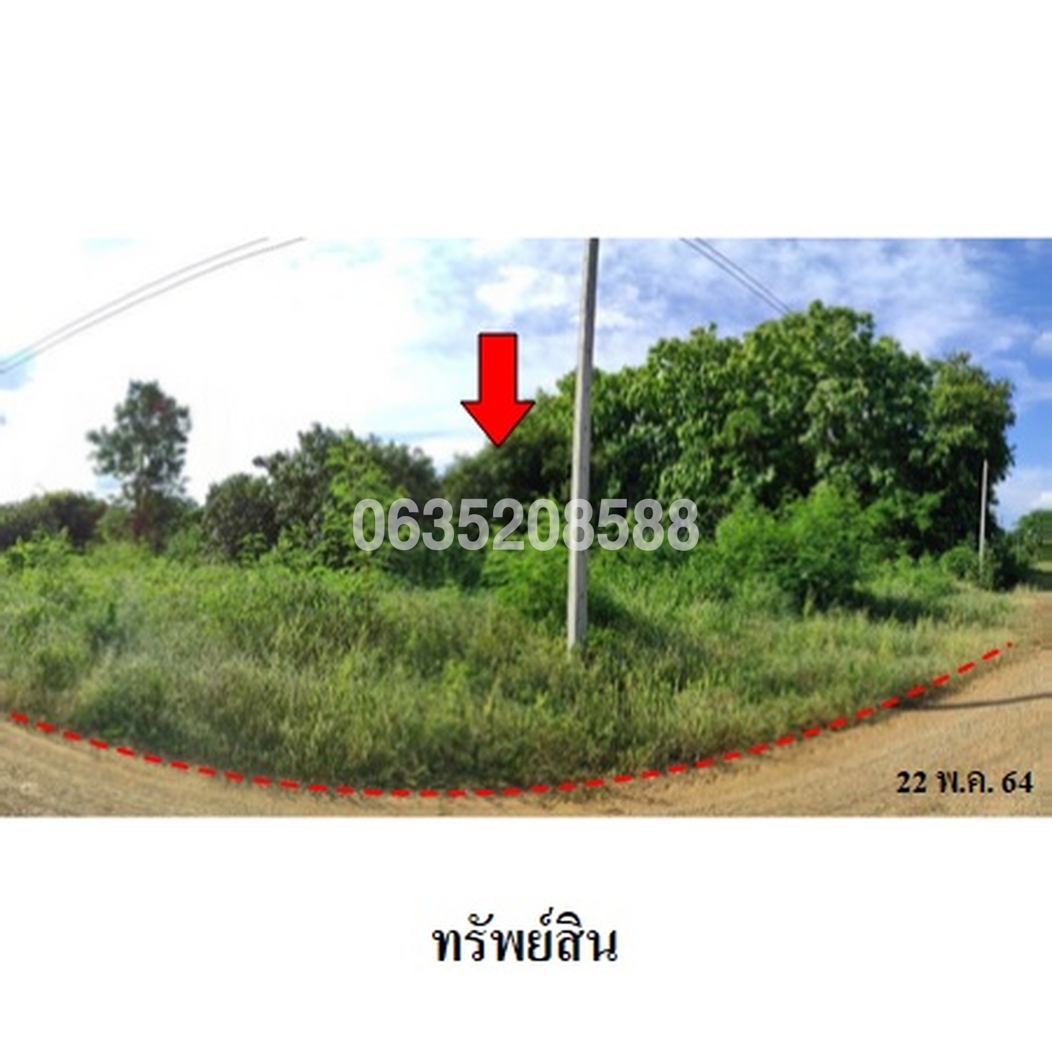 ขายที่ดิน เพชรบูรณ์การ์เด้นฮิลล์