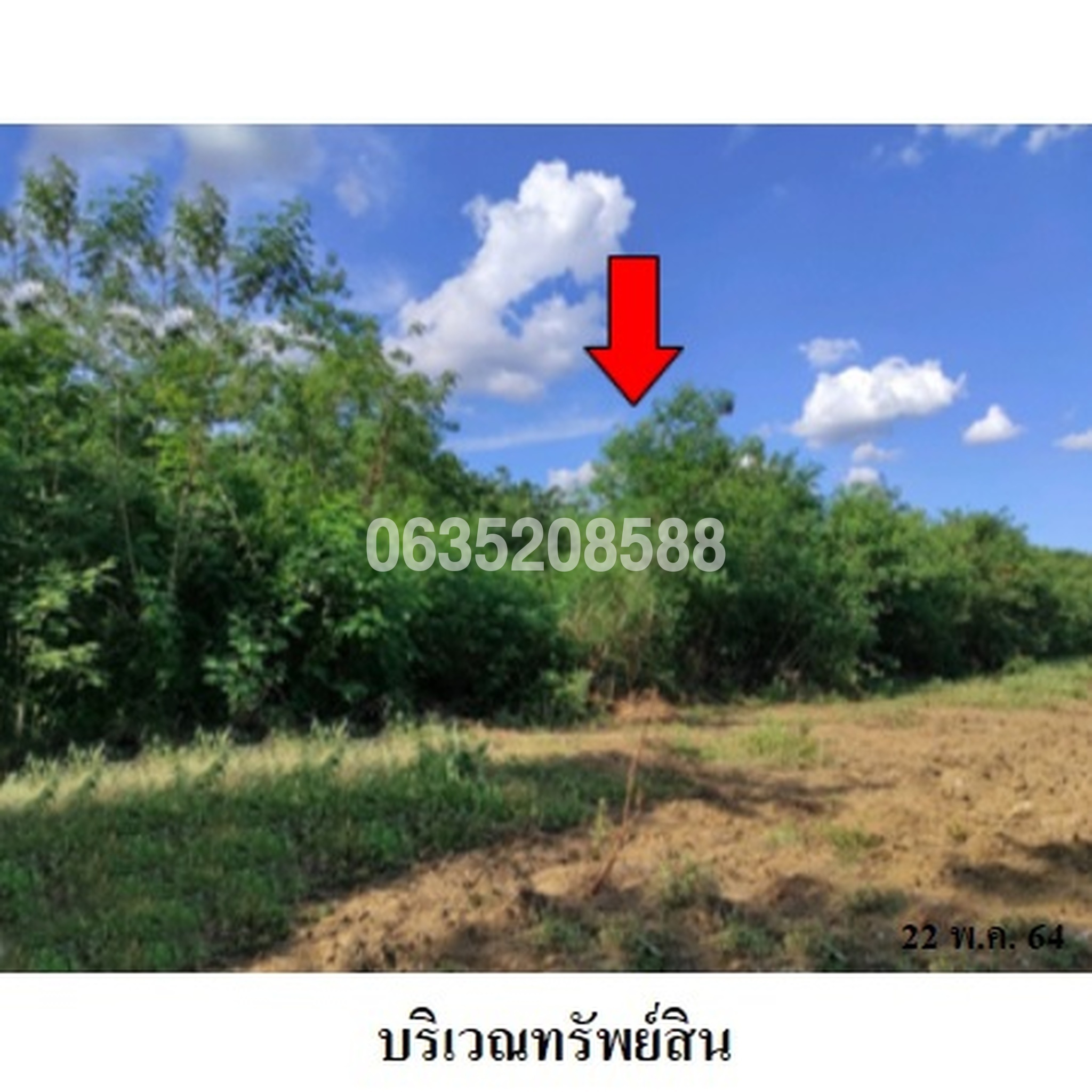 ขายที่ดิน เพชรบูรณ์การ์เด้นฮิลล์