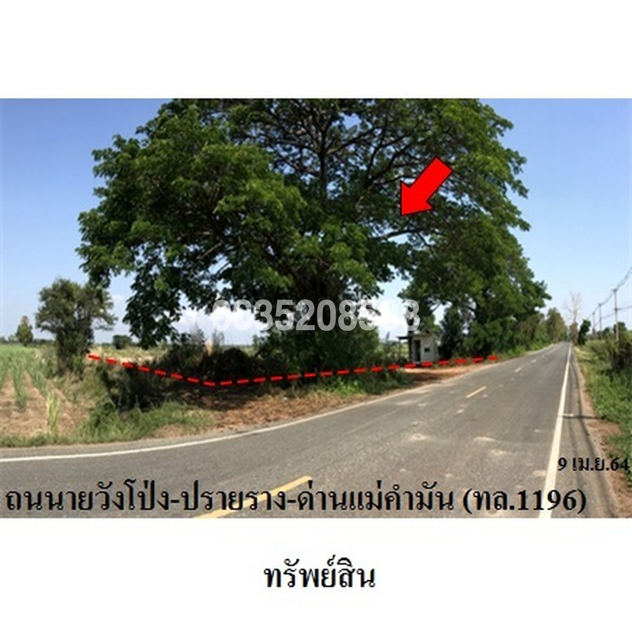 ขายที่ดิน ถนนวังโป่ง-ปรายราง-ด่านแม่คำมัน (ทล.1196)