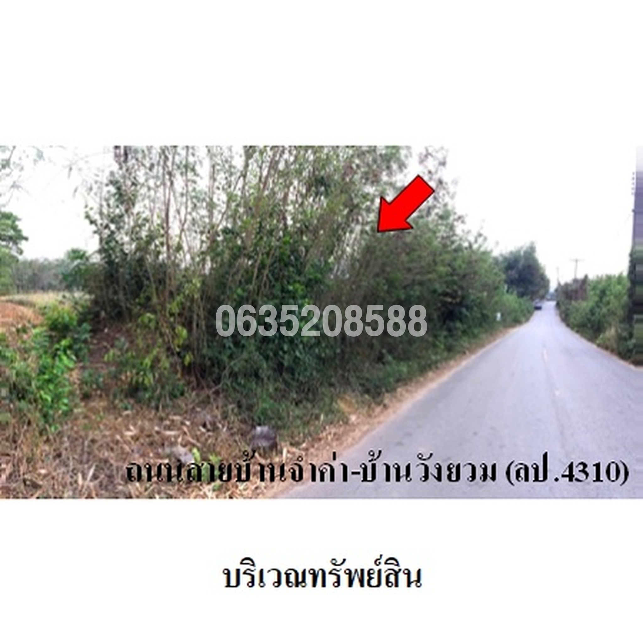 ขายที่ดิน ถนนสายบ้านจ้าค่า-บ้านวังยวม (ลป.4310)