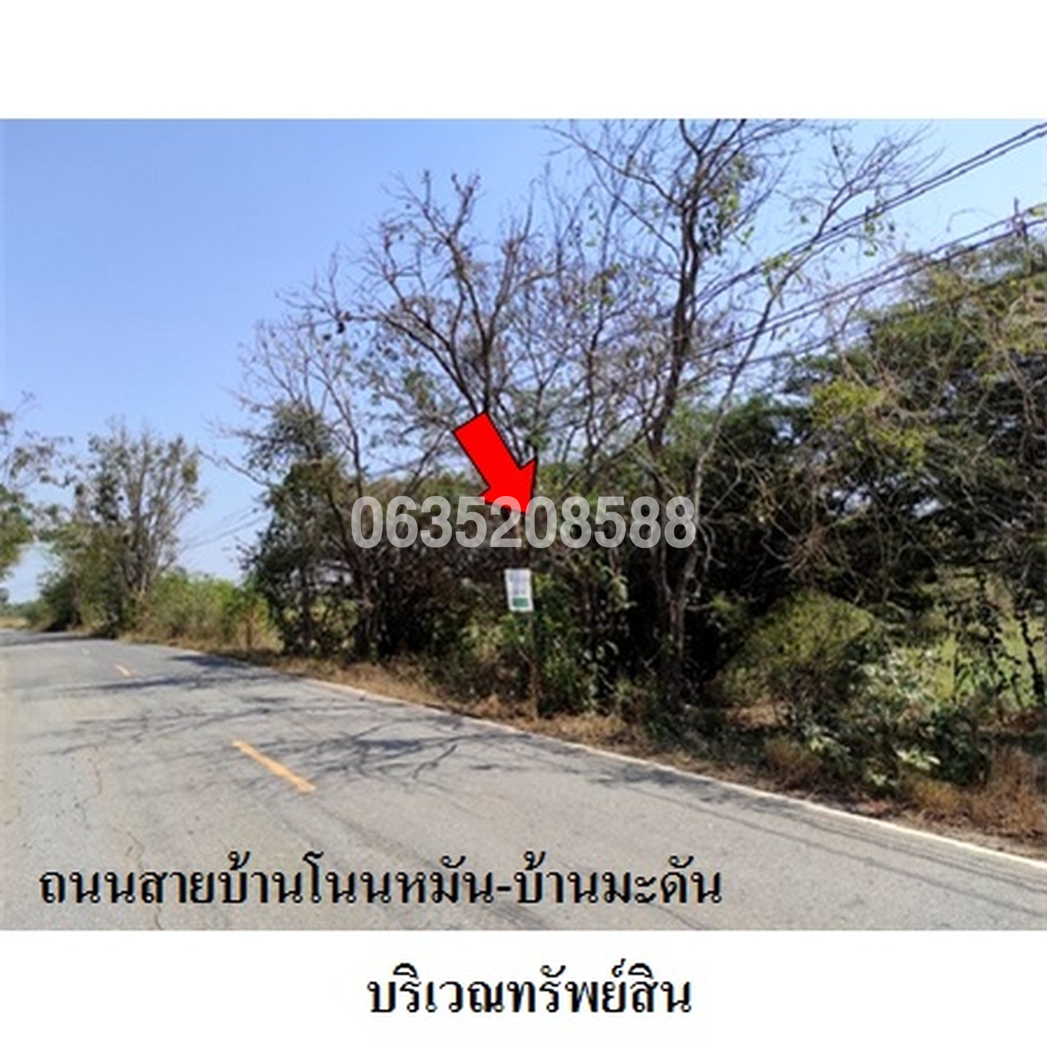 ขายที่ดิน ถนนสายบ้านโนนหมัน-บ้านมะดัน