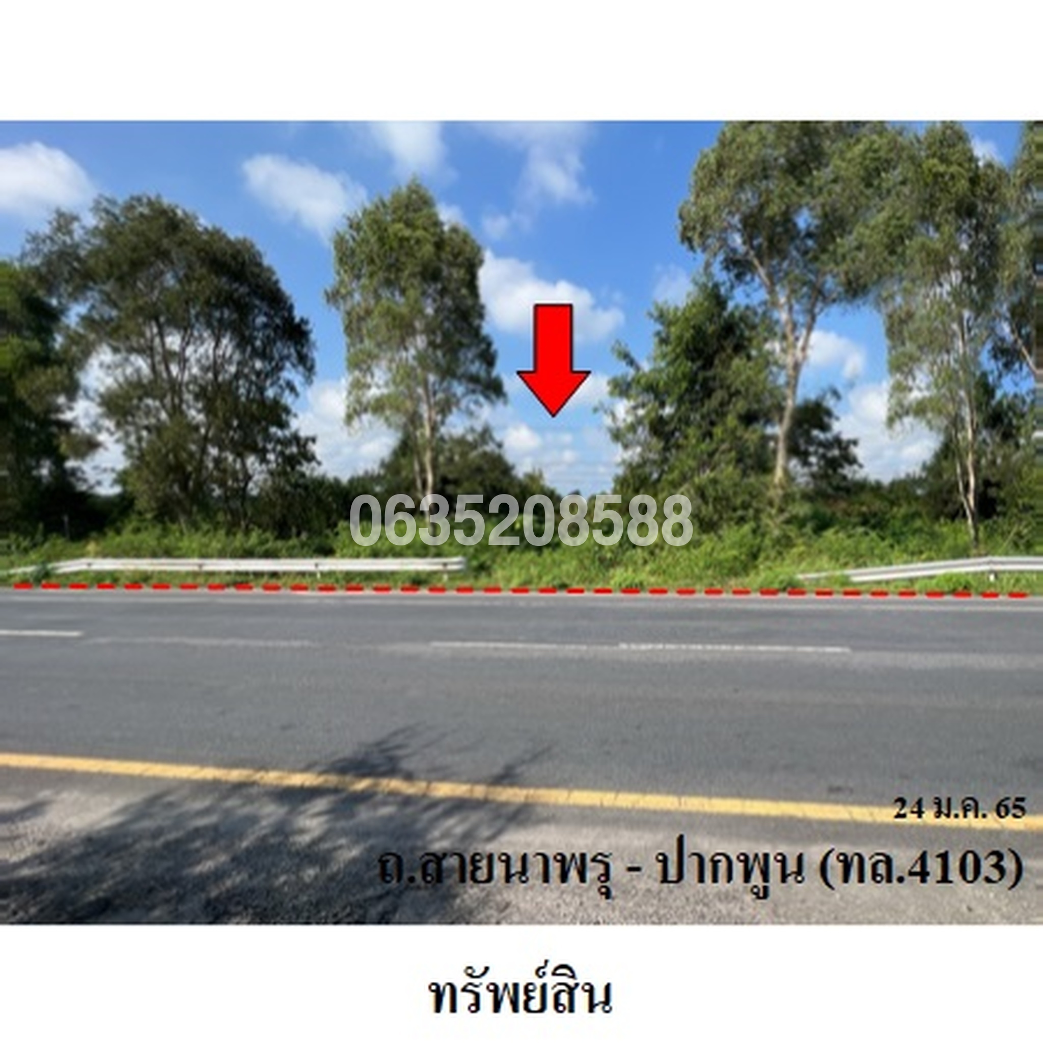 ขายที่ดิน ถนนสายนาพรุ-ปากพูน (ทล.4103)