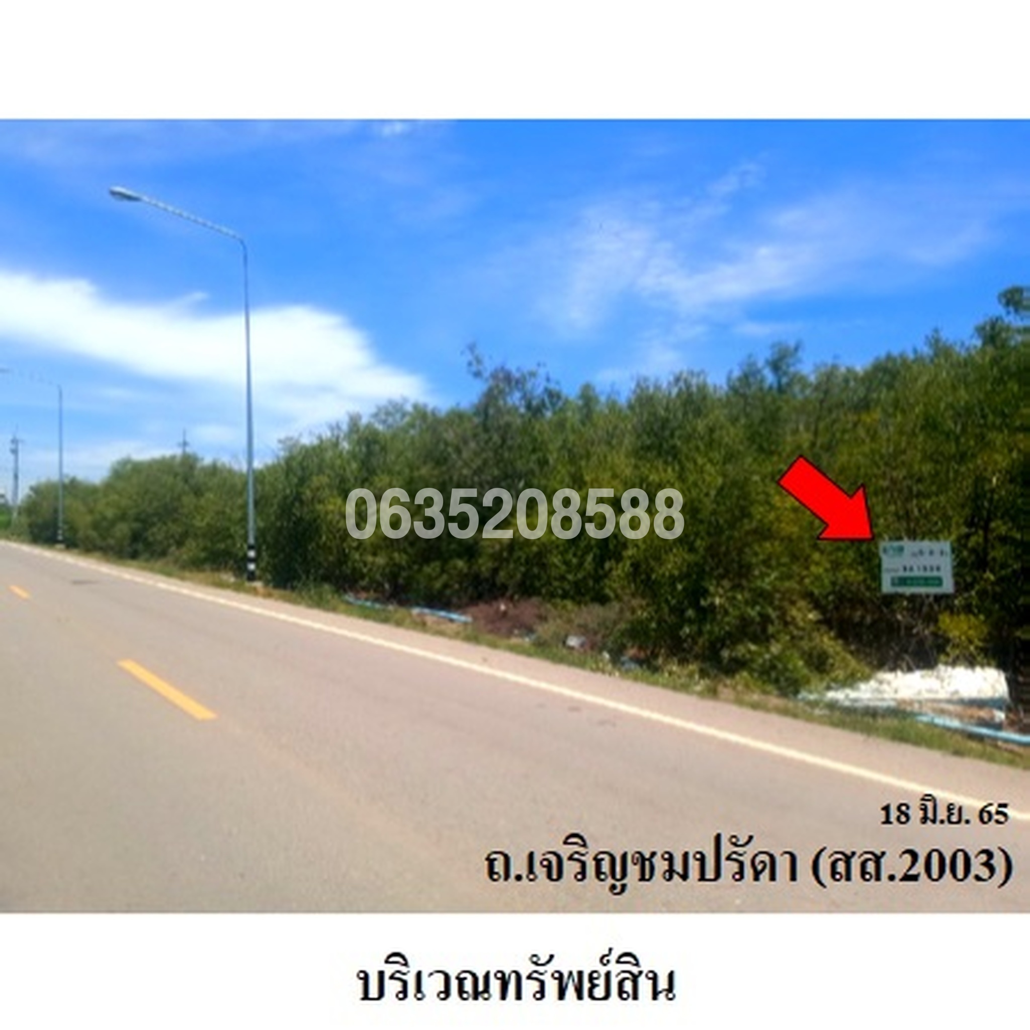 ขายที่ดิน ถนนเจริญชมปรีดา (สส.2003)
