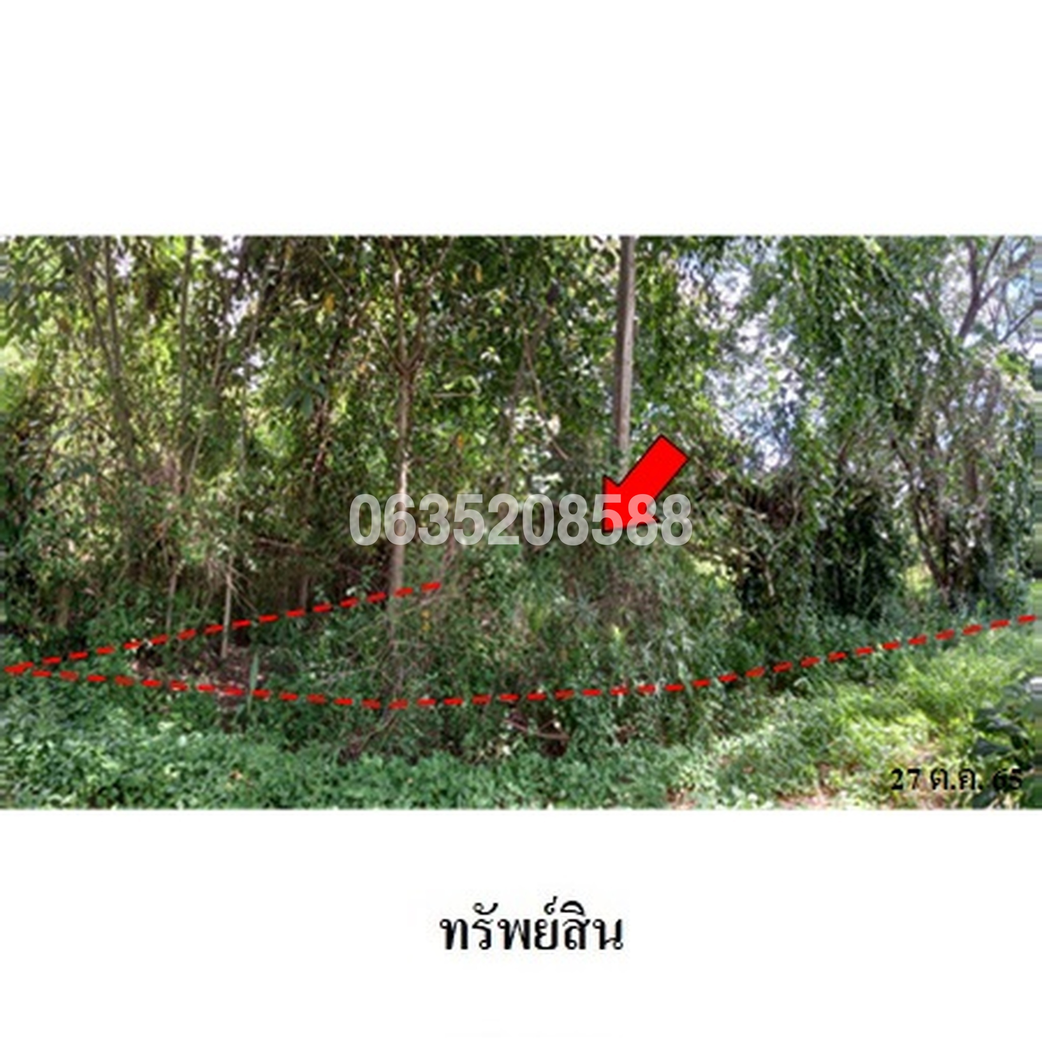ขายที่ดิน ซอยบ้านวังธาร ถนนทางเข้าเขื่อนแม่กวงอุดมธารา (ชม.3044)