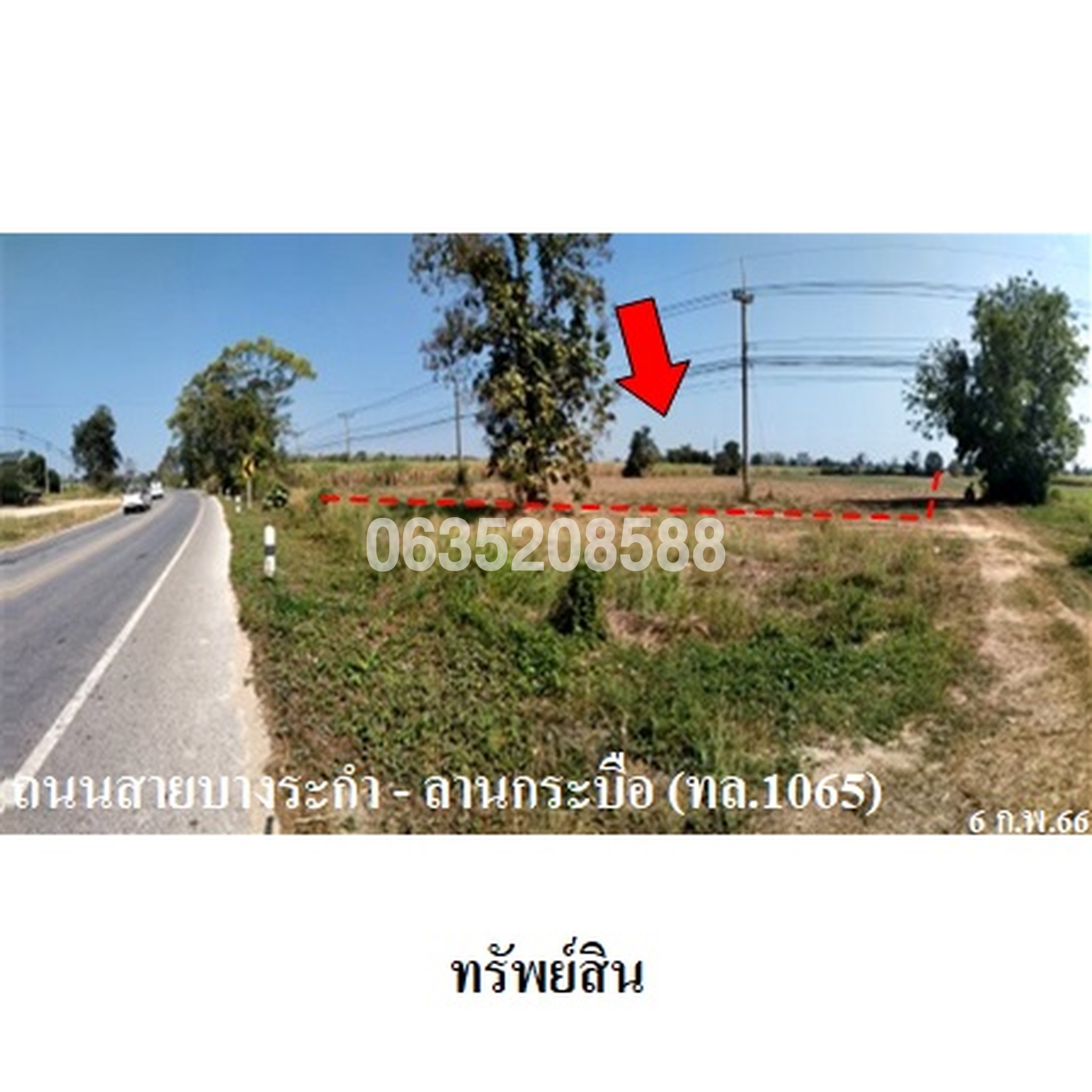 ขายที่ดิน ถนนสายบางระกำ-ลานกระบือ (ทล.1065)