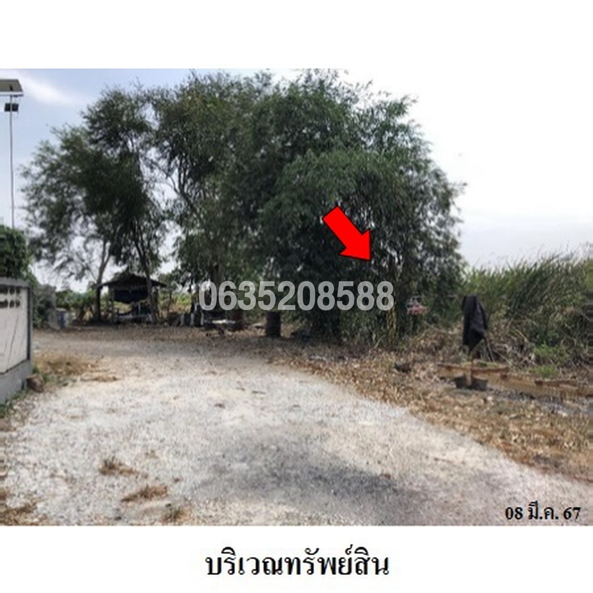 ขายที่ดิน สวัสดิการแลนด์