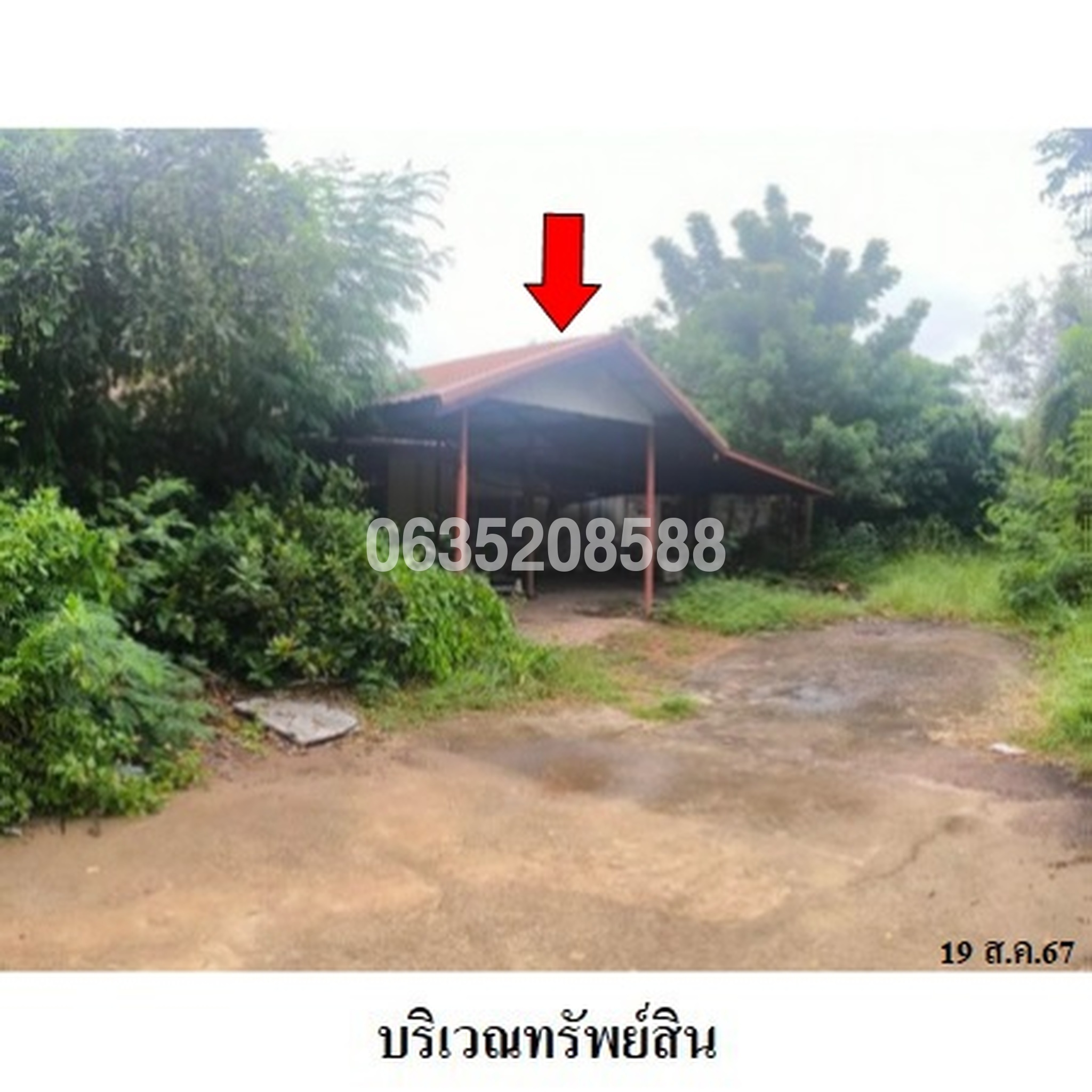 ขายบ้านเดี่ยว ซอยเทศบาลดวงตาอุทิศ ถนนสายเมืองพล-ท่านางแนว (ทล.2065)