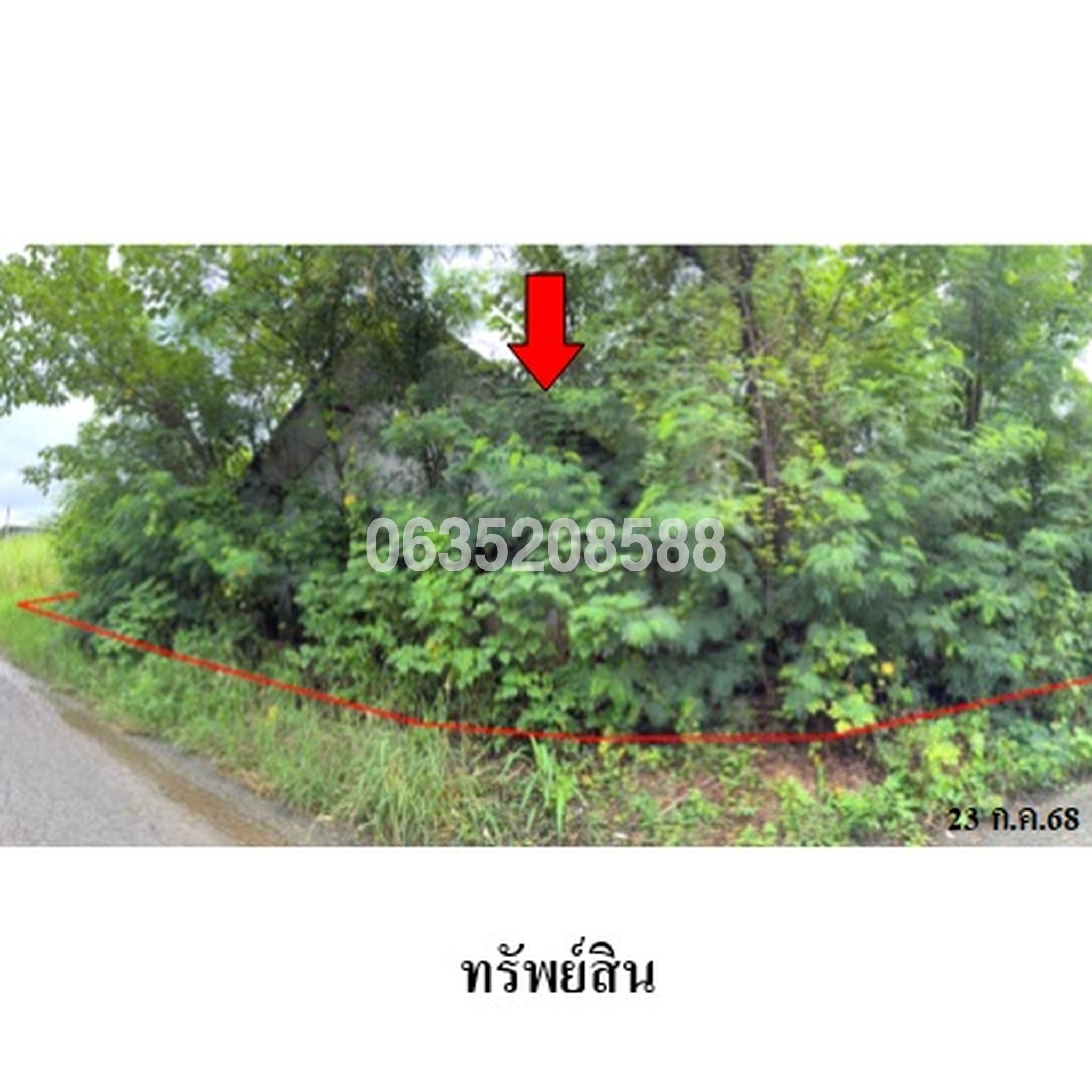 ขายบ้านเดี่ยว ซอยโครงการบ้านบุษบา ถนนสายแยก ทล.108-บ้านนํ้าโท้ง (ชม.ถ.1-0034)