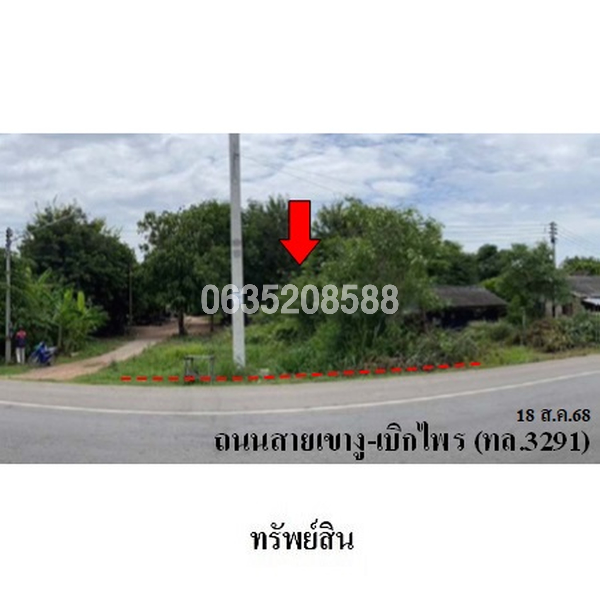 ขายที่ดิน ถนนสายเขางู-เบิกไพร (ทล.3291)