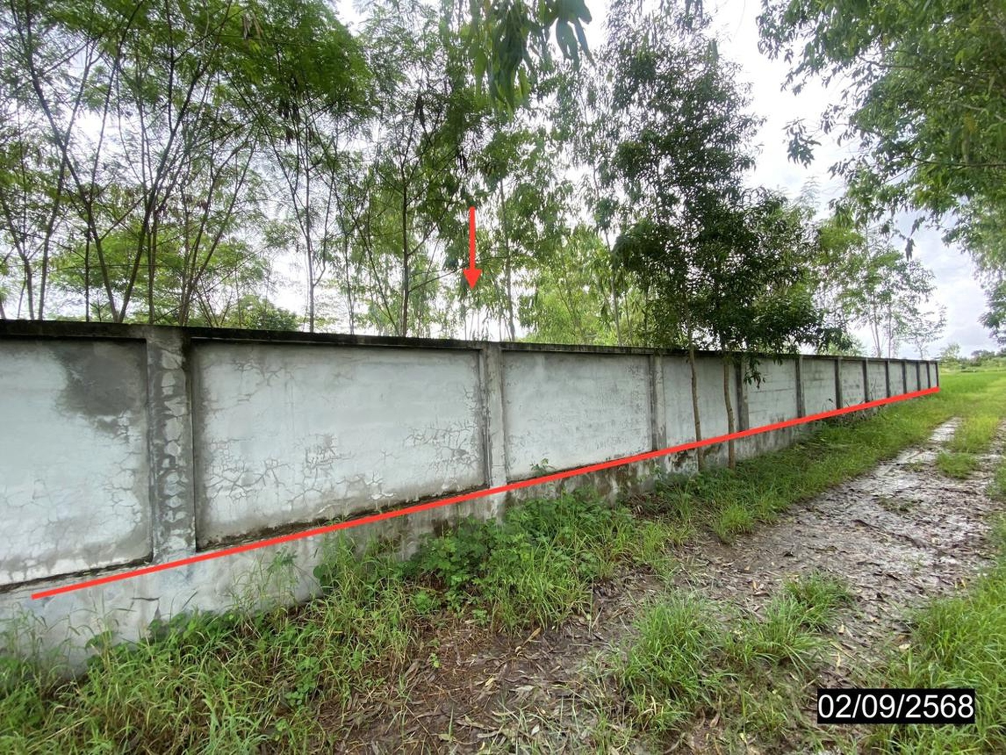 ทรัพย์สถาบันโดย KASIKORNBANK ที่ดิน ถนนเลียบคลองส่งน้ำชลประทาน