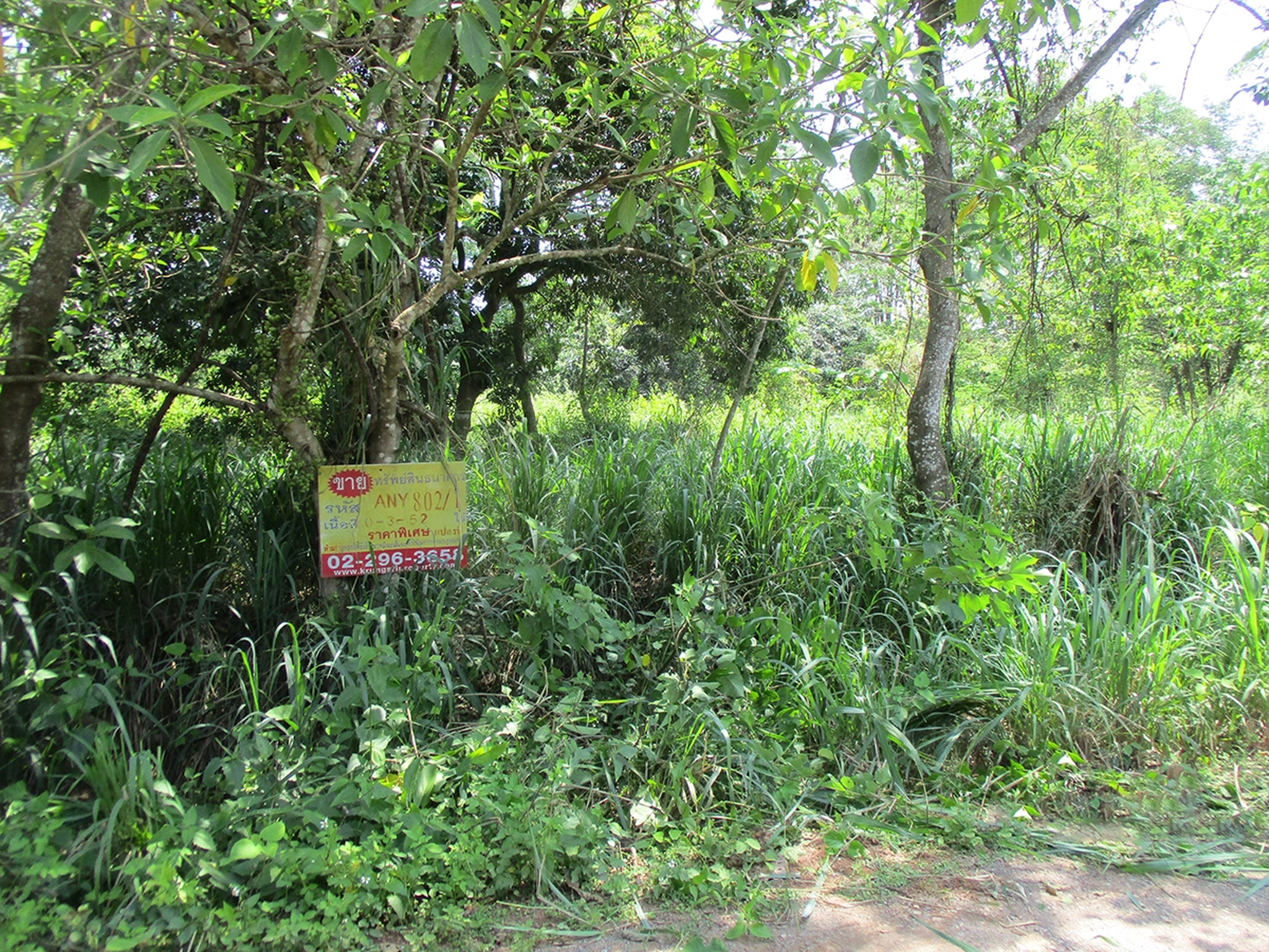 ทรัพย์สถาบันโดย BAY ที่ดิน รอยัลปิง การ์เด้นท์ แอนด์ รีสอร์ท