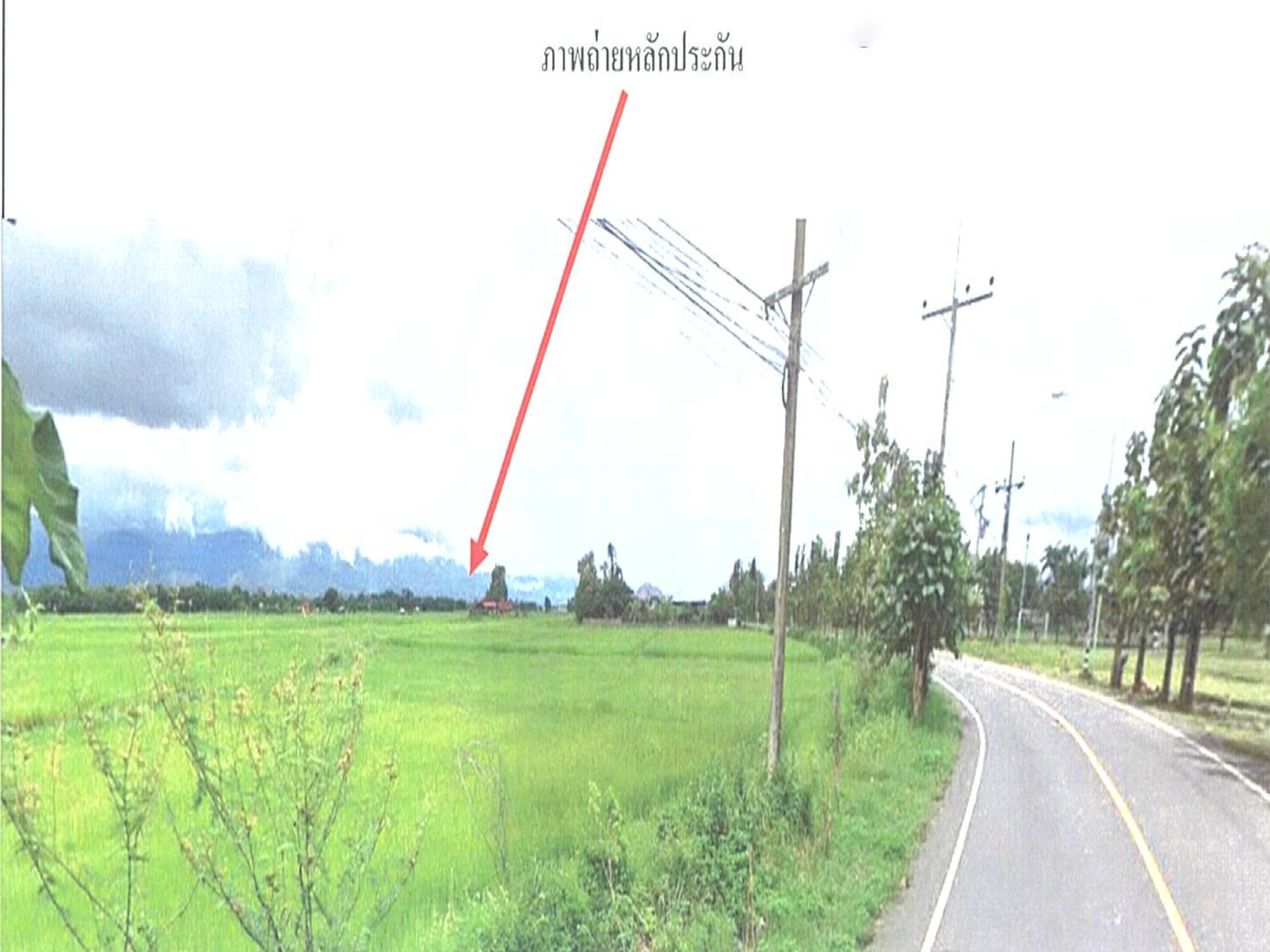 ทรัพย์สถาบันโดย BAY ที่ดิน ถนนถนนหมายเลข 1014