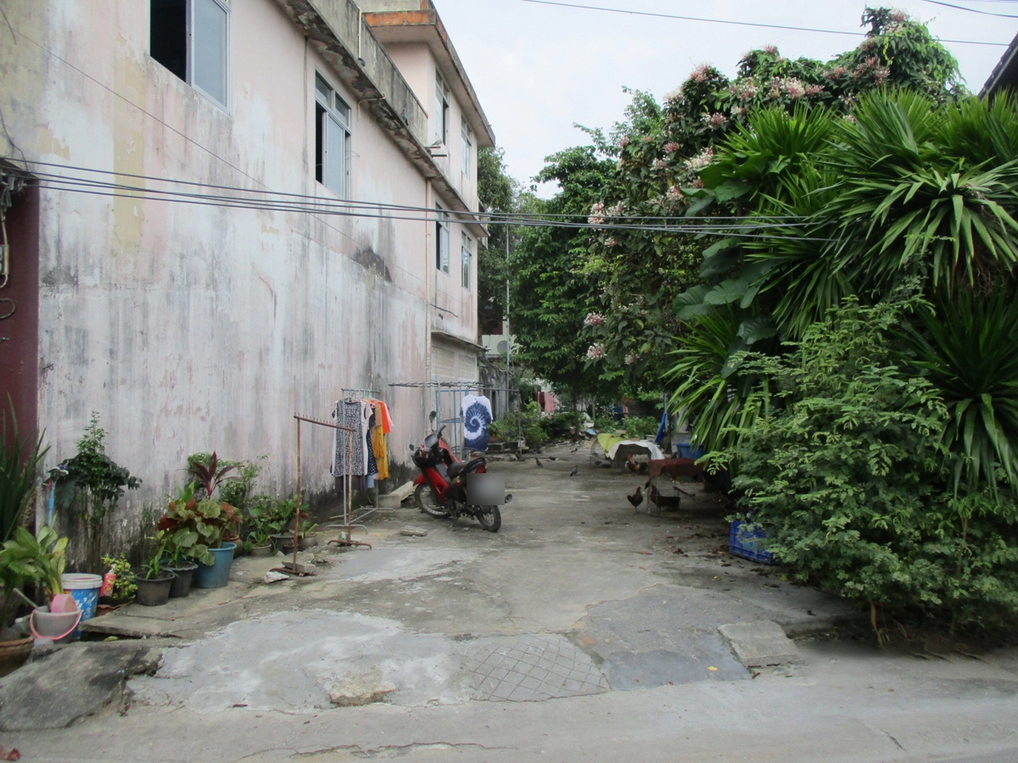 ทรัพย์สถาบันโดย BAY ที่ดิน ถนนอ่างทอง