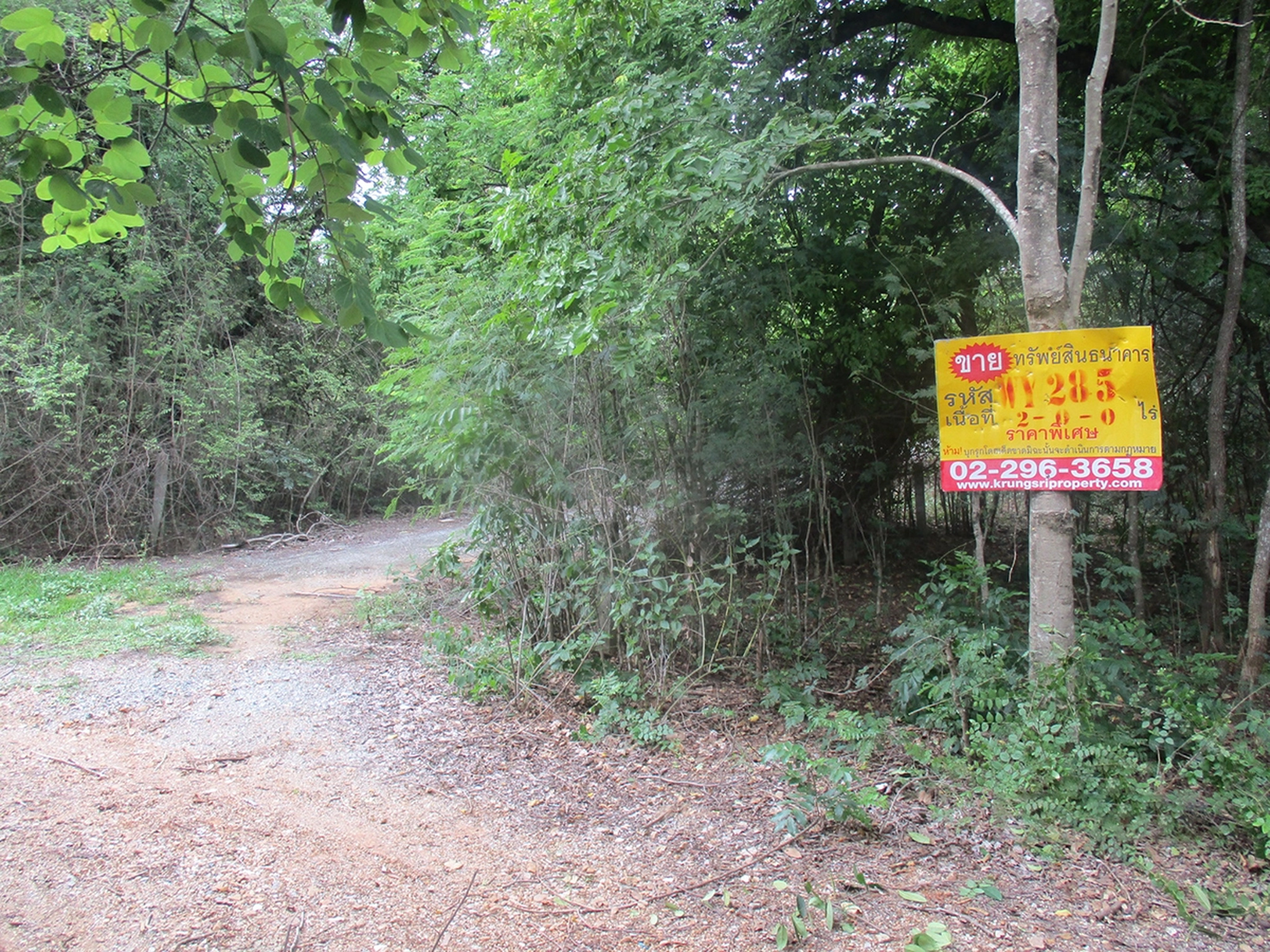 ทรัพย์สถาบันโดย BAY ที่ดิน แกรนด์การ์เด้นแอนด์กอล์ฟคลับ