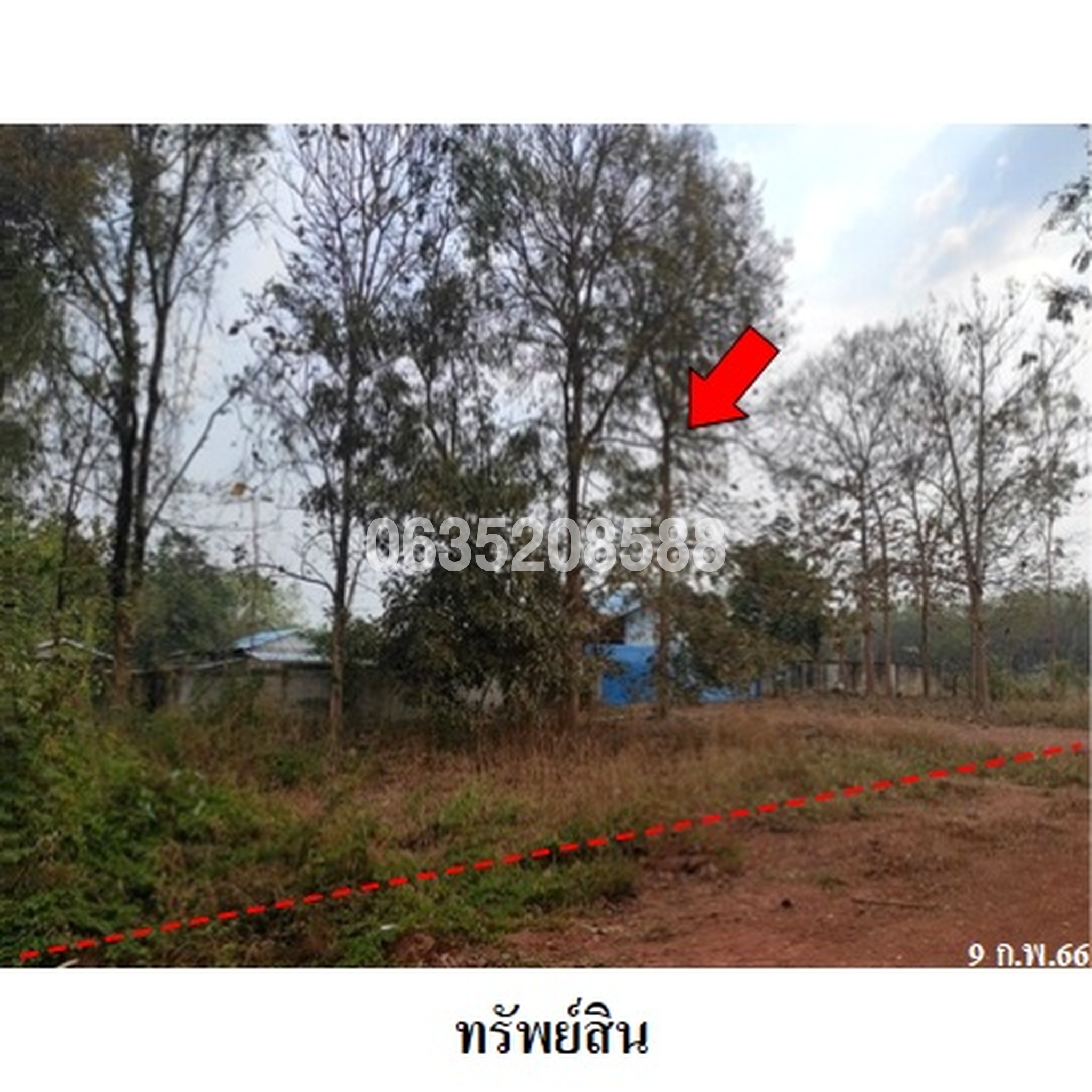 ขายโกดัง/โรงงาน ถนนนิคมสร้างตนเองโพนพิสัย