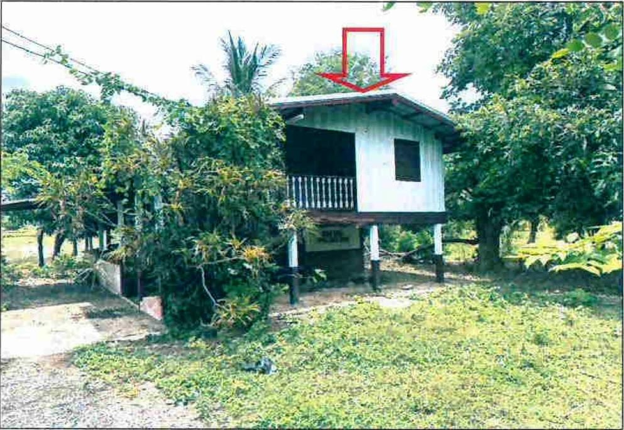 ทรัพย์สถาบันโดย GHB บ้านเดี่ยว ถนนทล.2315(สายแยกทล.210-หนองวัวซอ)
