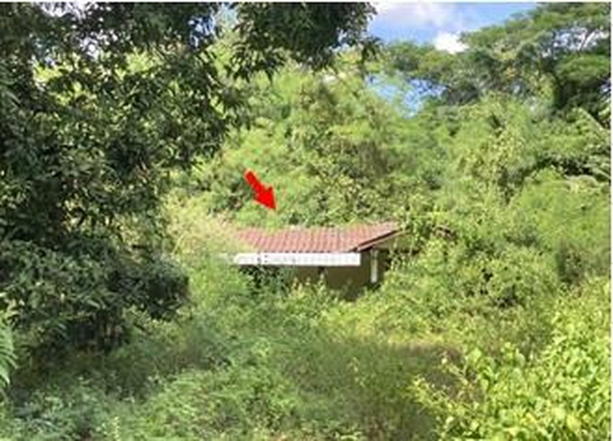 ทรัพย์สถาบันโดย GHB บ้านเดี่ยว ซอยบ้านวังม่วง-บ้านเกาะเถียร ถนนพหลโยธิน (ทล.1) กม.532-533