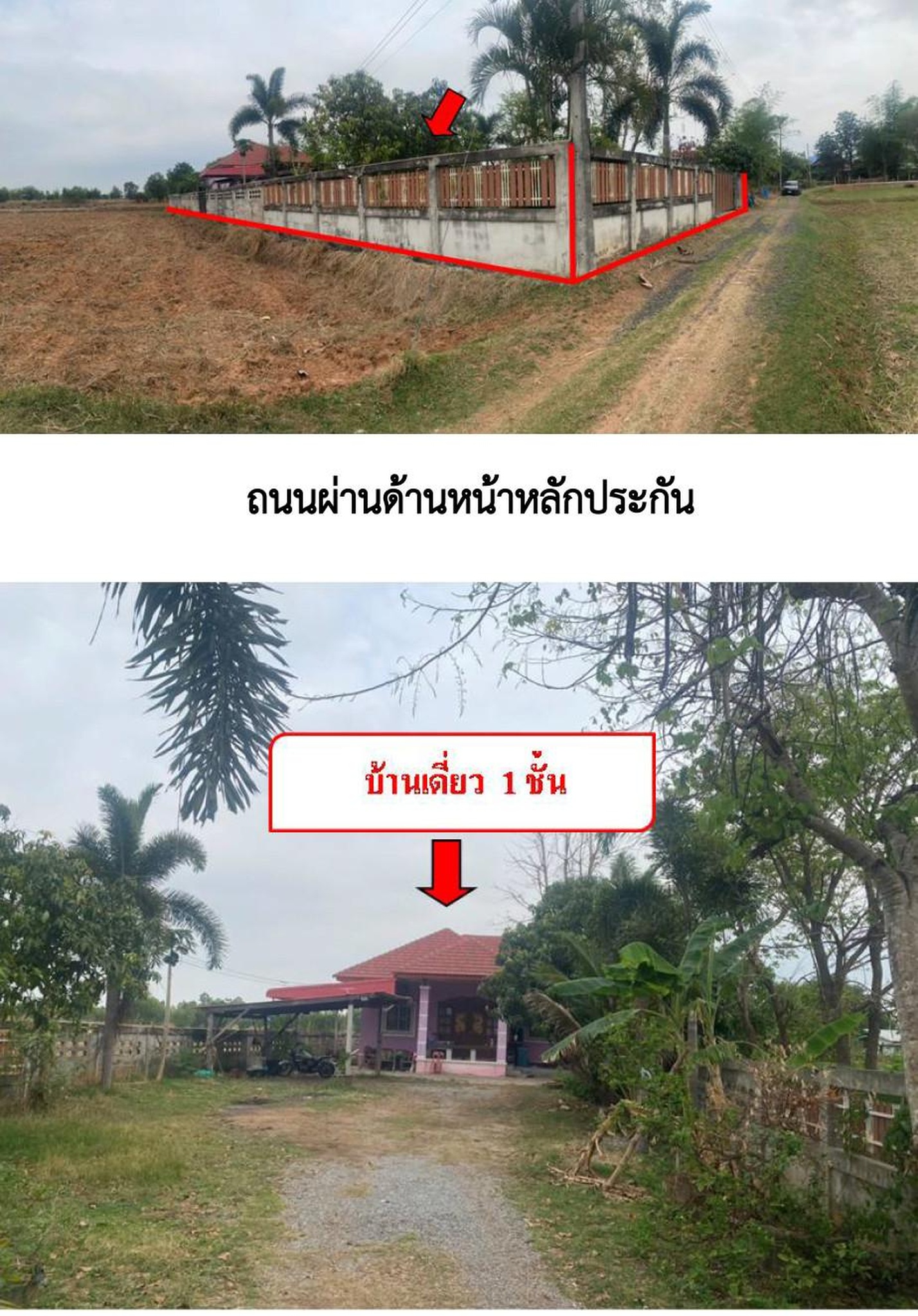 ทรัพย์สถาบันโดย GHB บ้านเดี่ยว ซอยสาธารณประโยชน์ ถนนประทาย-พุทไธสง