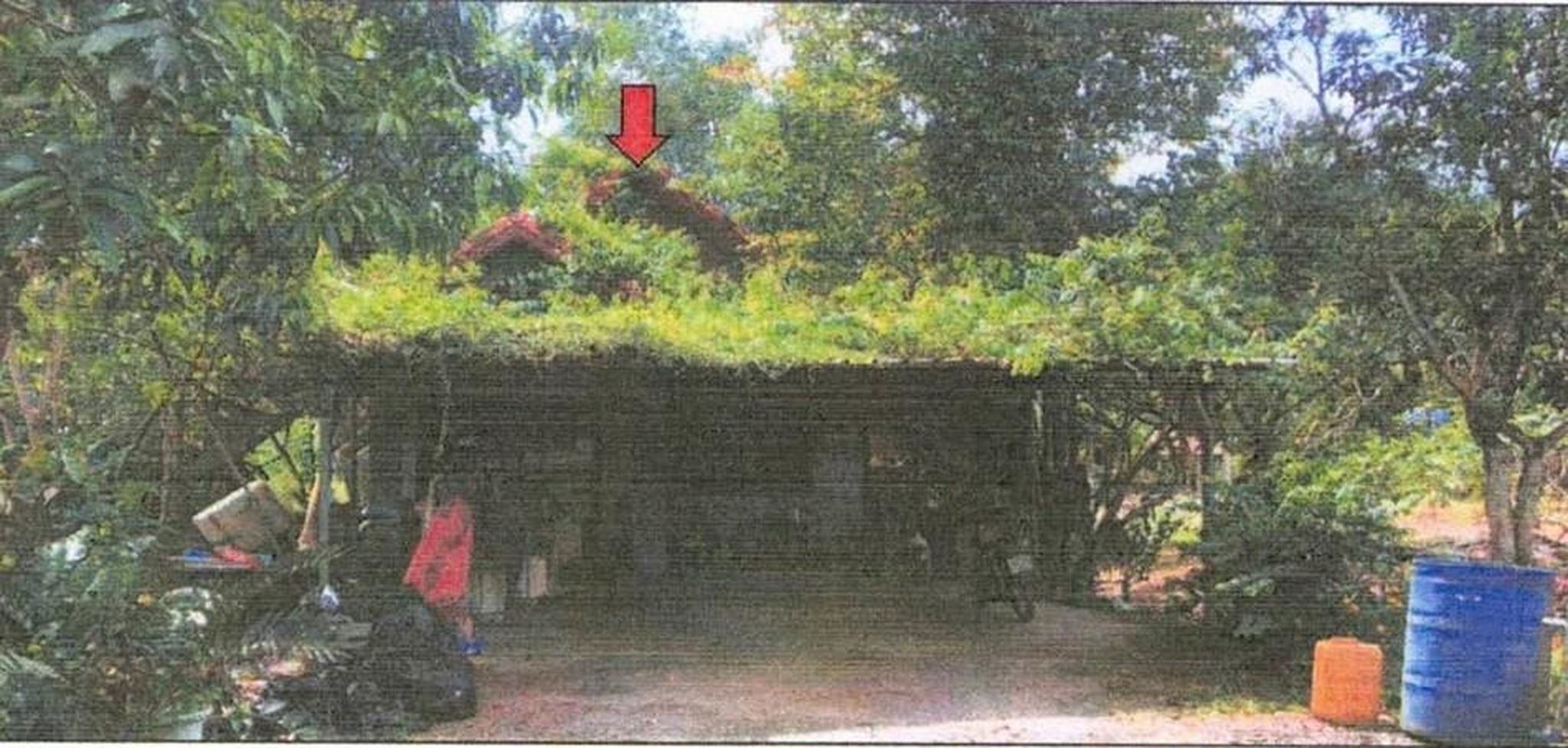 ทรัพย์สถาบันโดย GHB บ้านเดี่ยว ถนนตรัง - สตูล