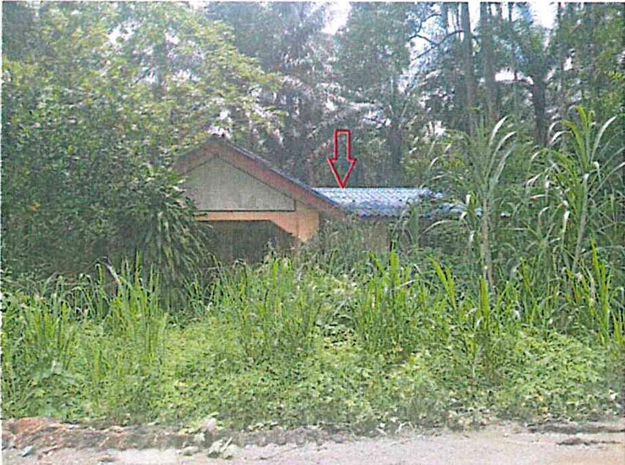 ทรัพย์สถาบันโดย GHB บ้านเดี่ยว ซอยบ่อหิน ถนนเพชรเกษม 4