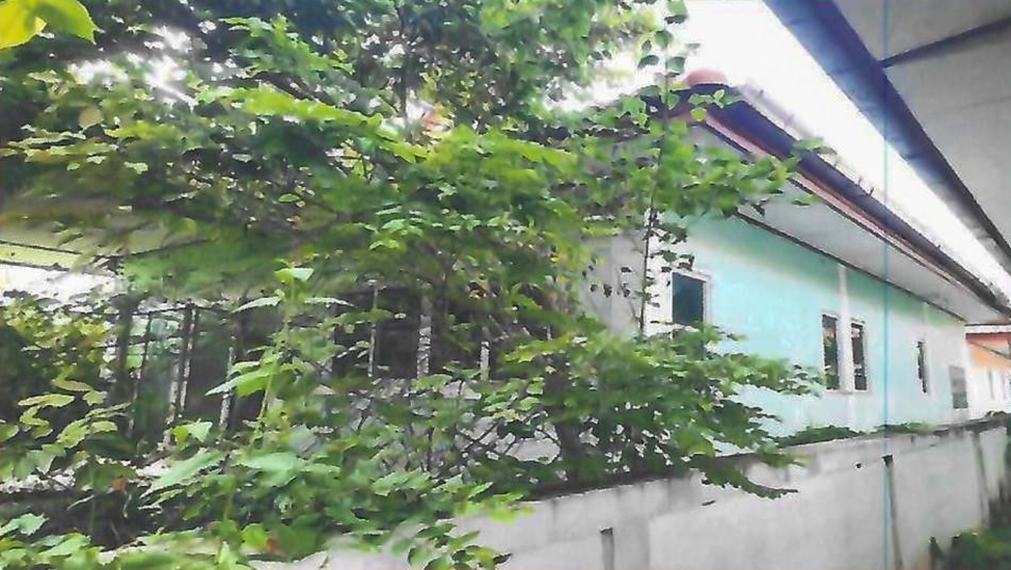ทรัพย์สถาบันโดย GHB บ้านเดี่ยว ซอยแก้วพัฒนา ถนนมิตรภาพ (ทล.2)