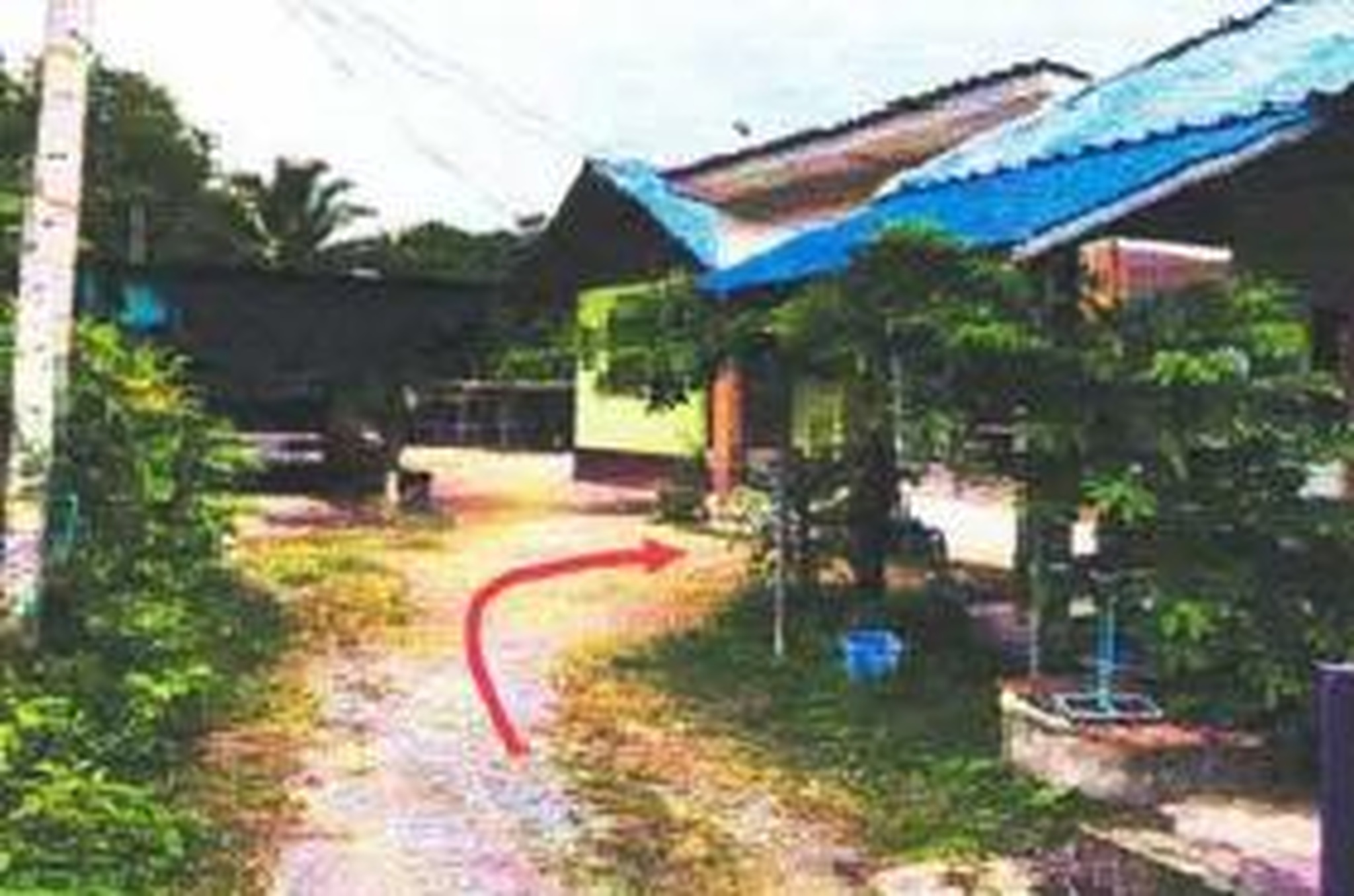ทรัพย์สถาบันโดย GHB บ้านเดี่ยว ซอยทางเข้าวัดกลางสวนดอก ถนนเชิงสะพานกิตติขจร-เจดีย์ยุทธหัตถี