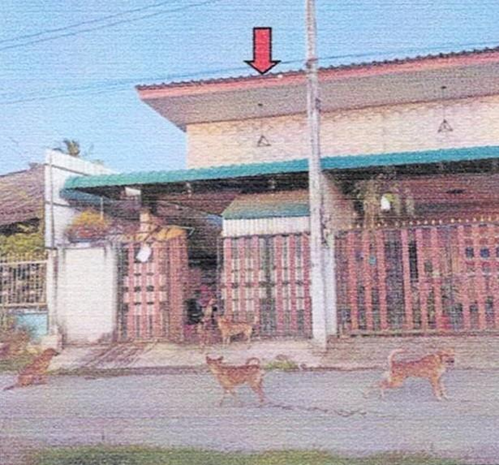 ทรัพย์สถาบันโดย GHB บ้านแฝด ถนนรพช.สายผังเมือง4ซอย1