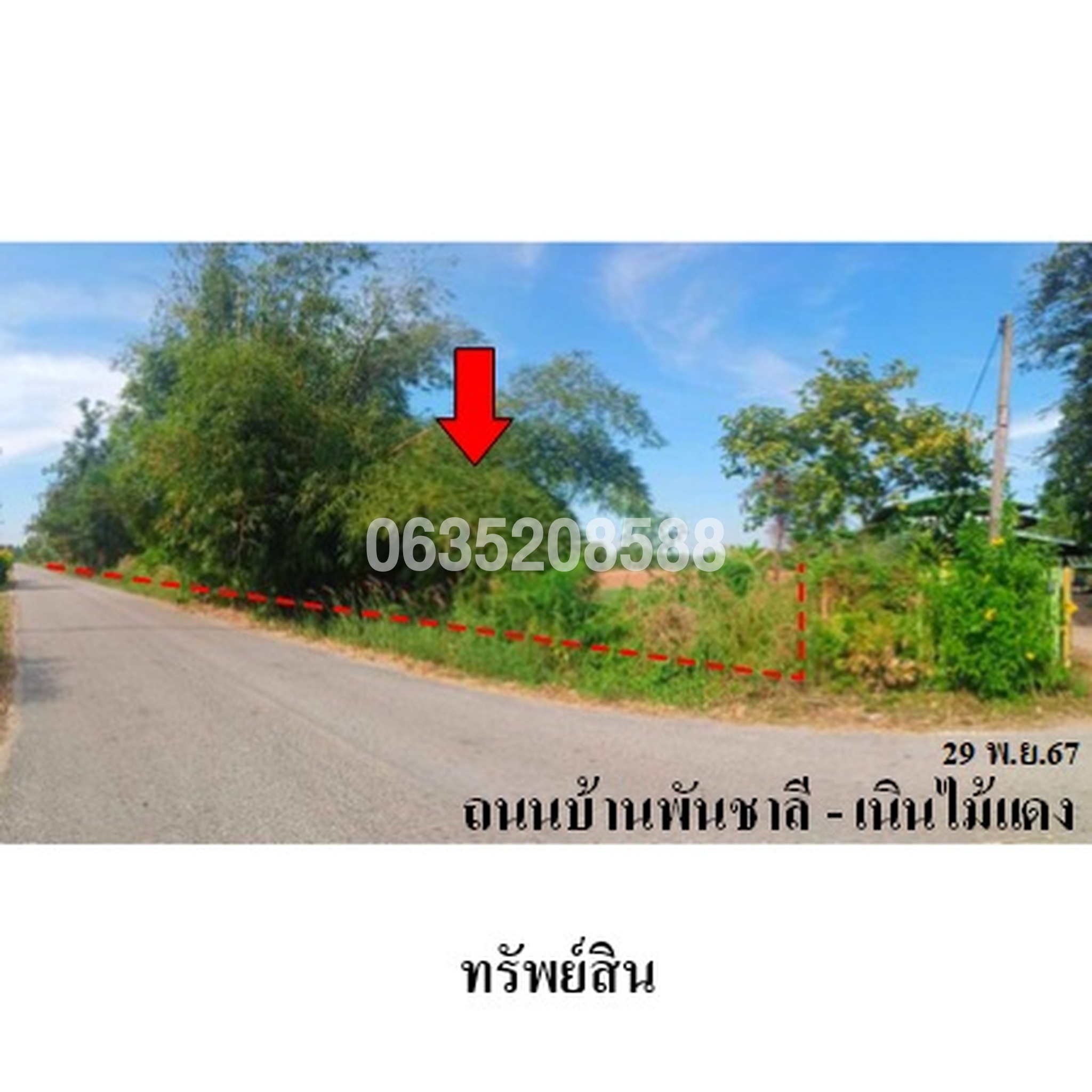 ขายที่ดิน ถนนสายบ้านพันชาลี-บ้านเนินไม้แดง
