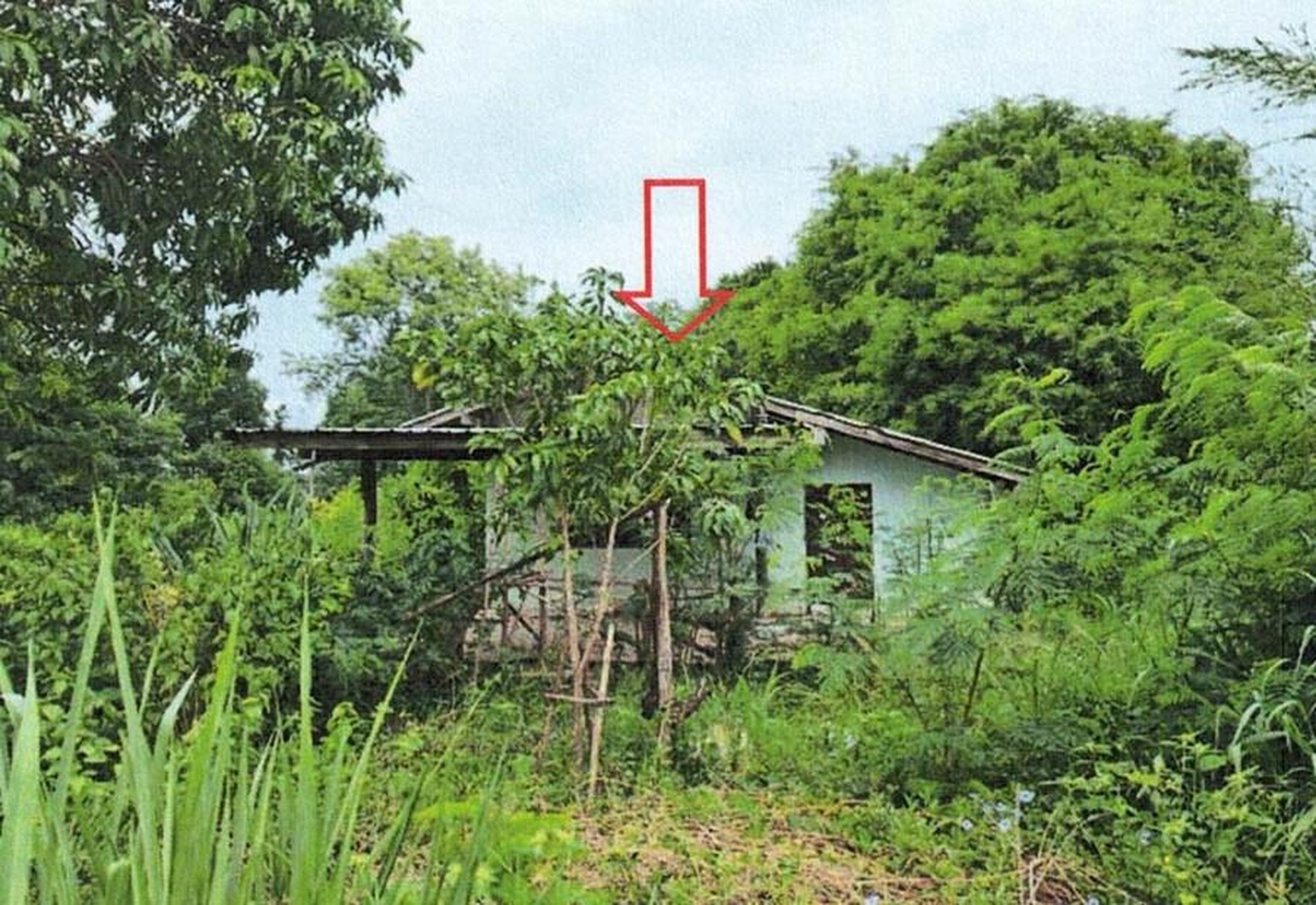ทรัพย์สถาบันโดย GHB บ้านเดี่ยว ถนนหนองนกกระเรียน-น้ำพุ