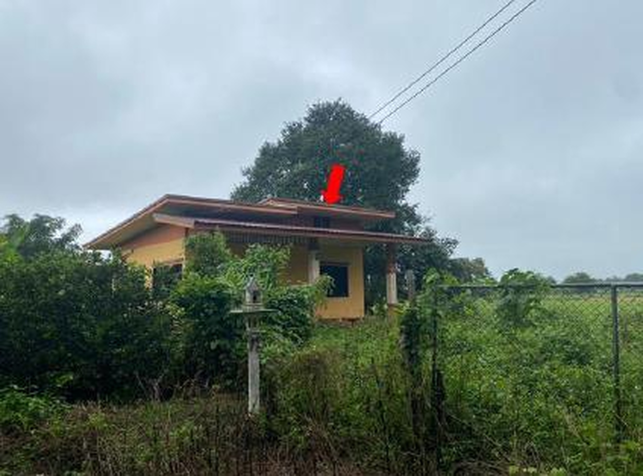 ทรัพย์สถาบันโดย GHB บ้านเดี่ยว ถนนสายห้าแยกพ่อขุน-เวีย