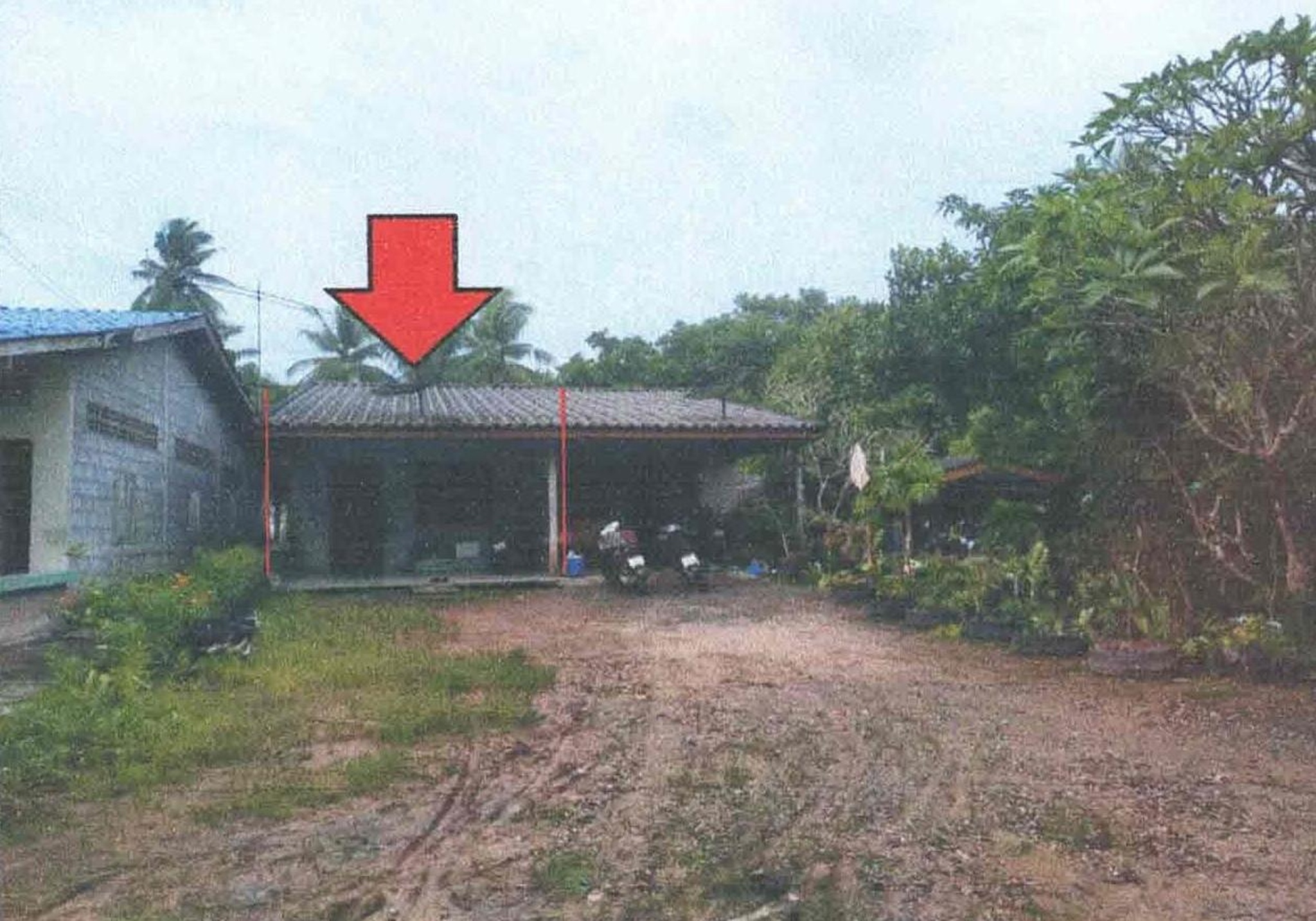 ทรัพย์สถาบันโดย GHB บ้านเดี่ยว ซอยบ้านใหม่ ถนนสายเลี่ยงเมืองสิเกา